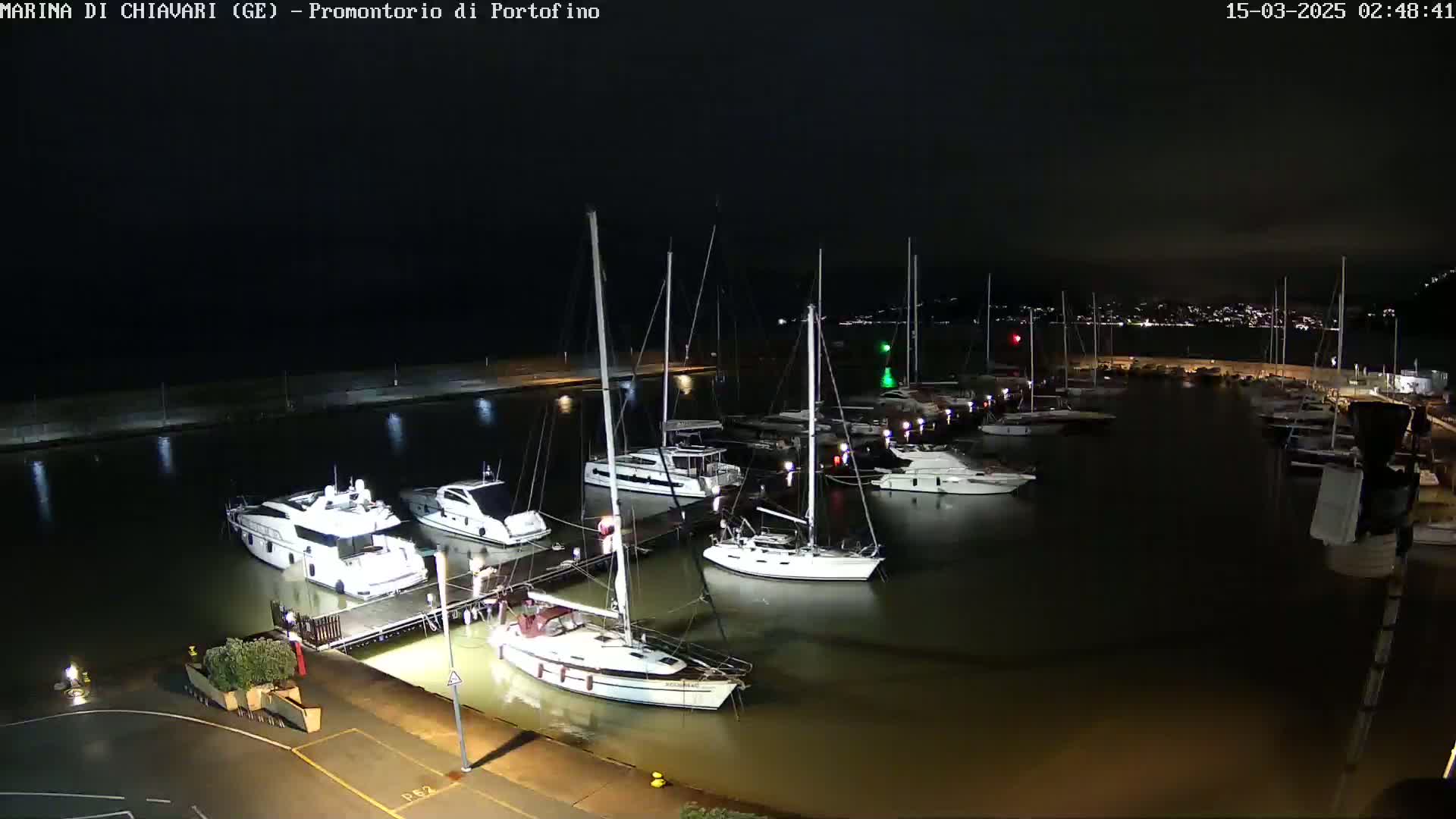 A nighttime view of a marina filled with sailboats and motorboats docked along a pier under a dark sky.