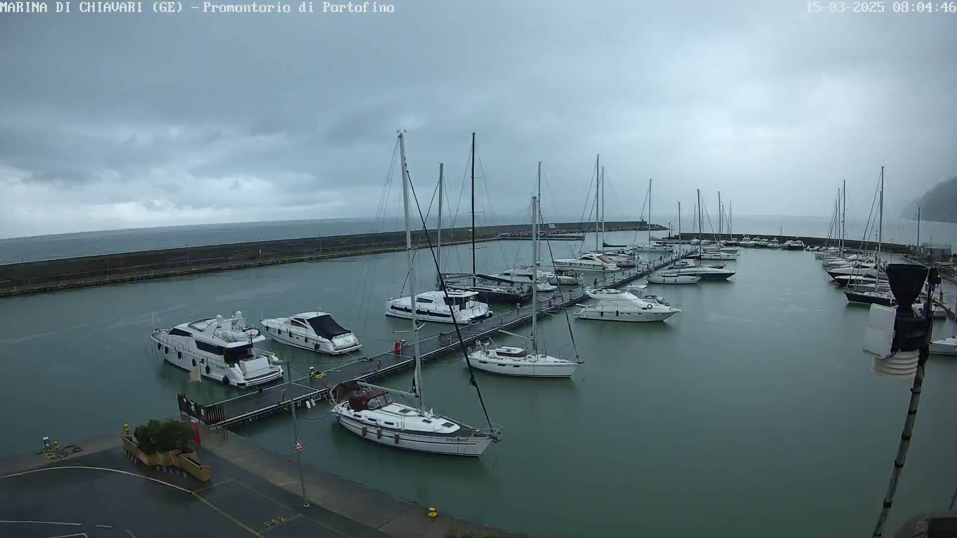 Many boats are docked in a marina on an overcast day.