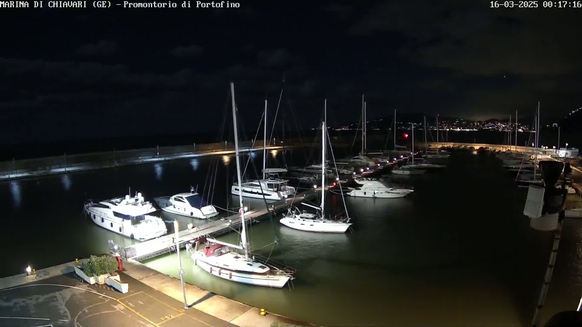Many boats are docked at a marina at night under a mostly clear sky.