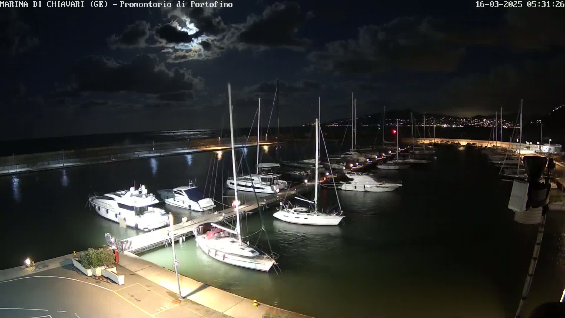Under a partly cloudy night sky, numerous boats are docked at a marina, illuminated by artificial lights.