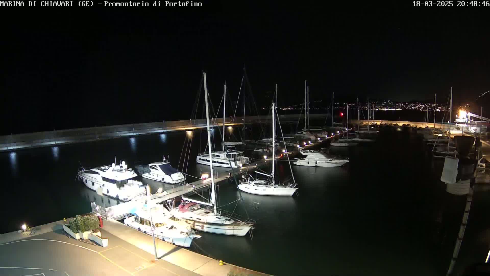 A nighttime view of a marina filled with yachts and sailboats, illuminated by lights along a dock.