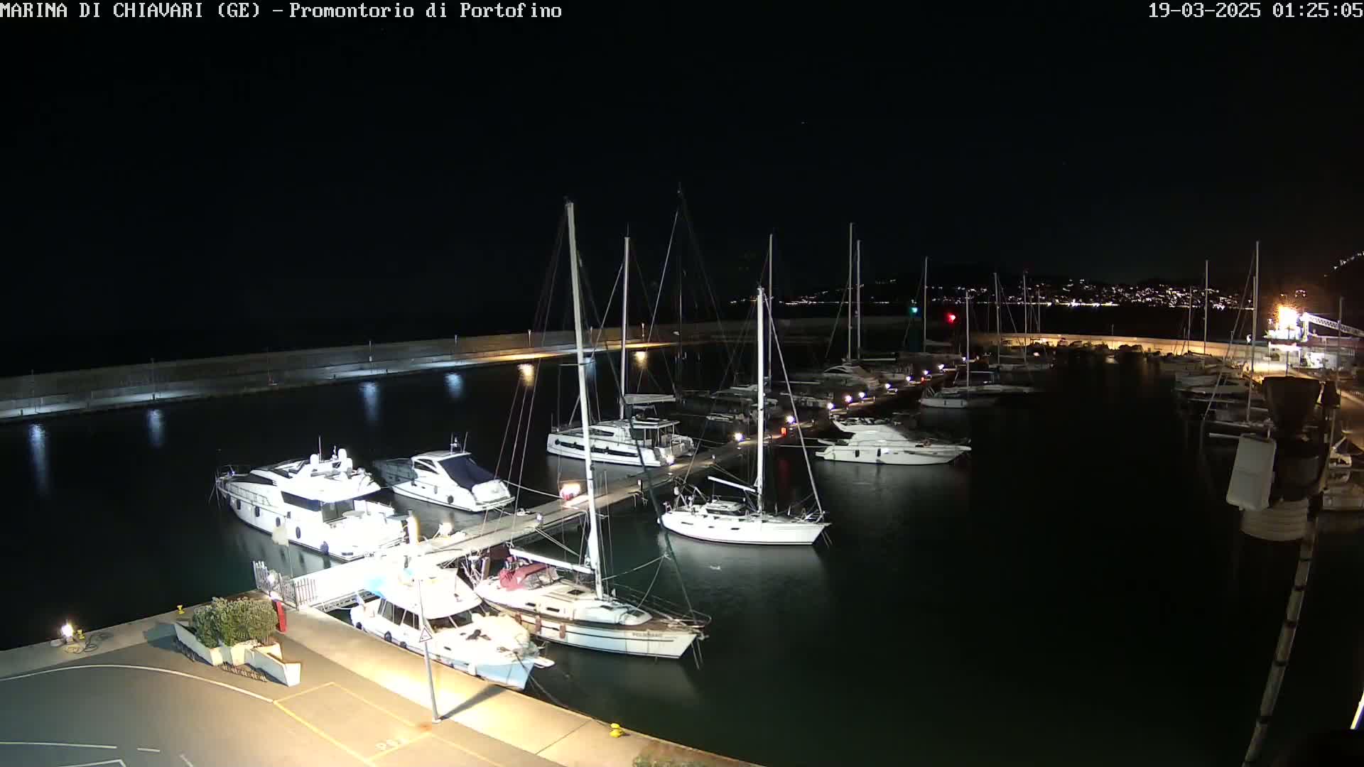 A marina at night, filled with numerous yachts and sailboats docked along a pier, under a clear, dark sky.