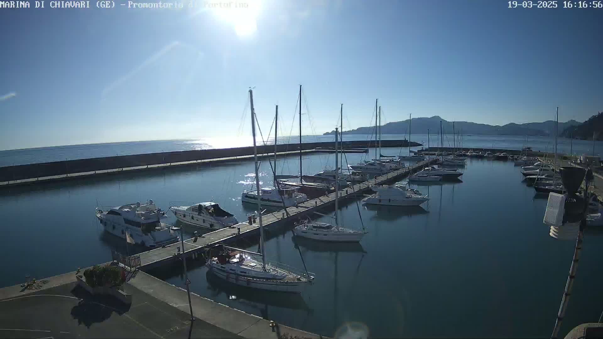 A marina filled with numerous sailboats and motorboats on a sunny day, with calm waters and distant mountains visible.