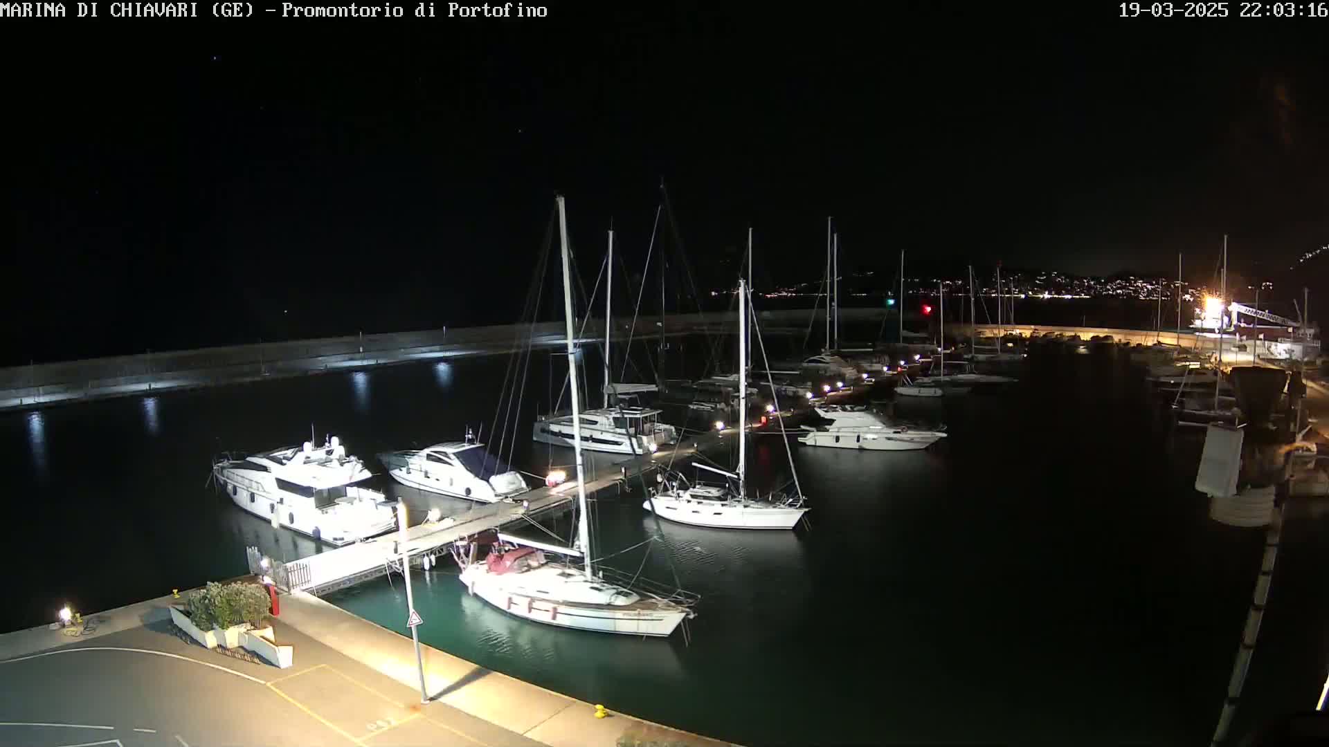 A marina at night, illuminated, shows numerous yachts and sailboats moored at docks.