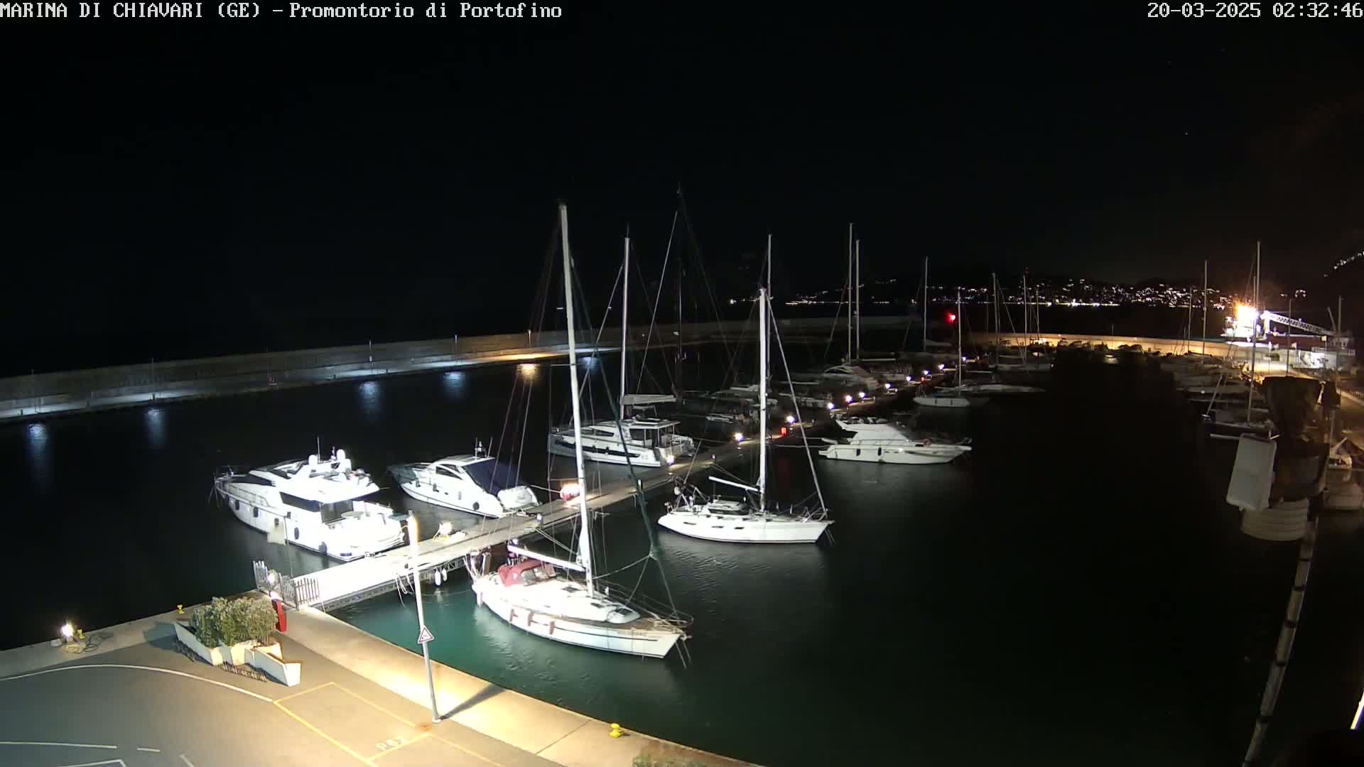 A marina at night, filled with numerous yachts and sailboats moored alongside a dock, under a clear, dark sky.