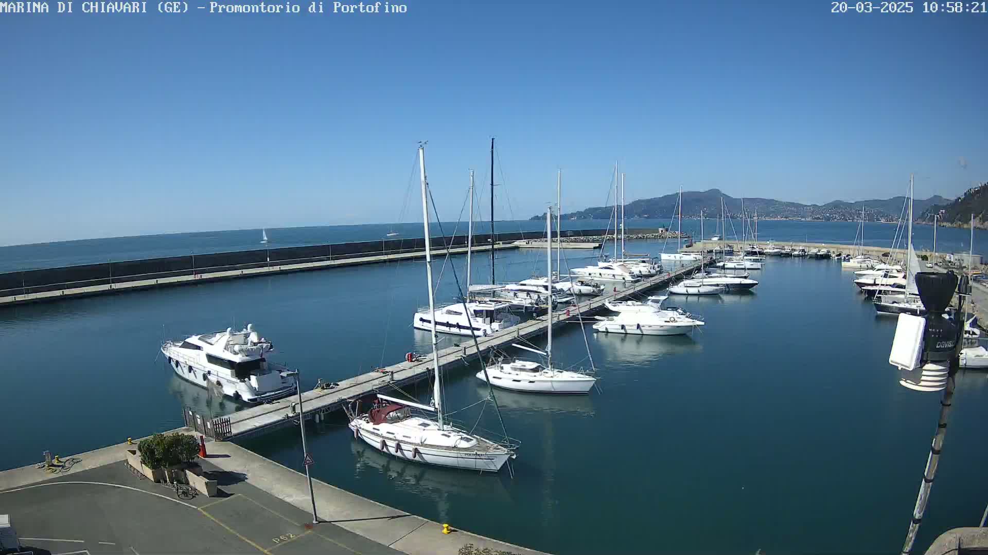 A marina filled with sailboats and motorboats on a sunny day, with calm blue water and distant mountains visible under a clear sky.