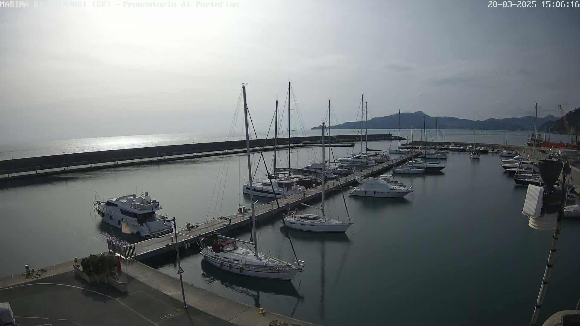 A marina filled with sailboats and motorboats is situated on calm water under an overcast sky, with mountains visible in the distance.
