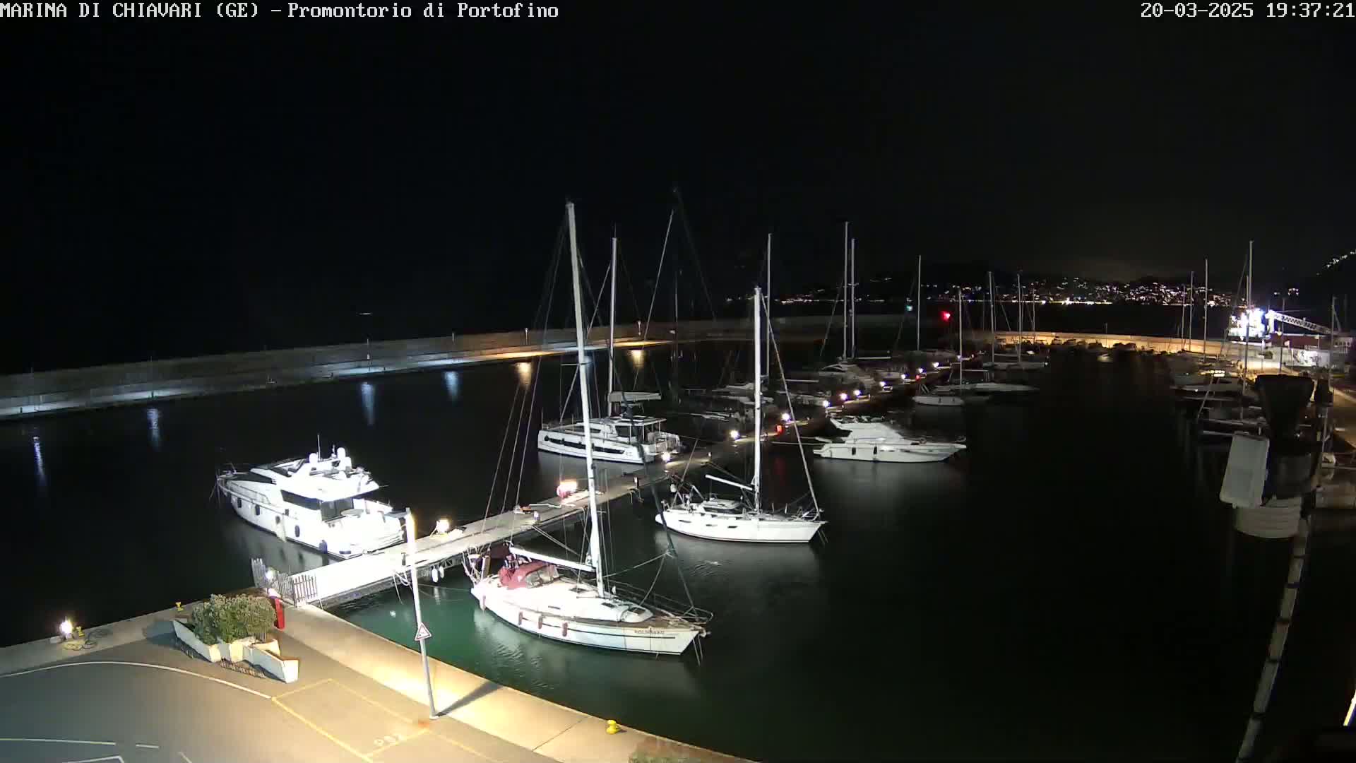A nighttime view of a marina filled with sailboats and motorboats docked along a pier, under a clear, dark sky.