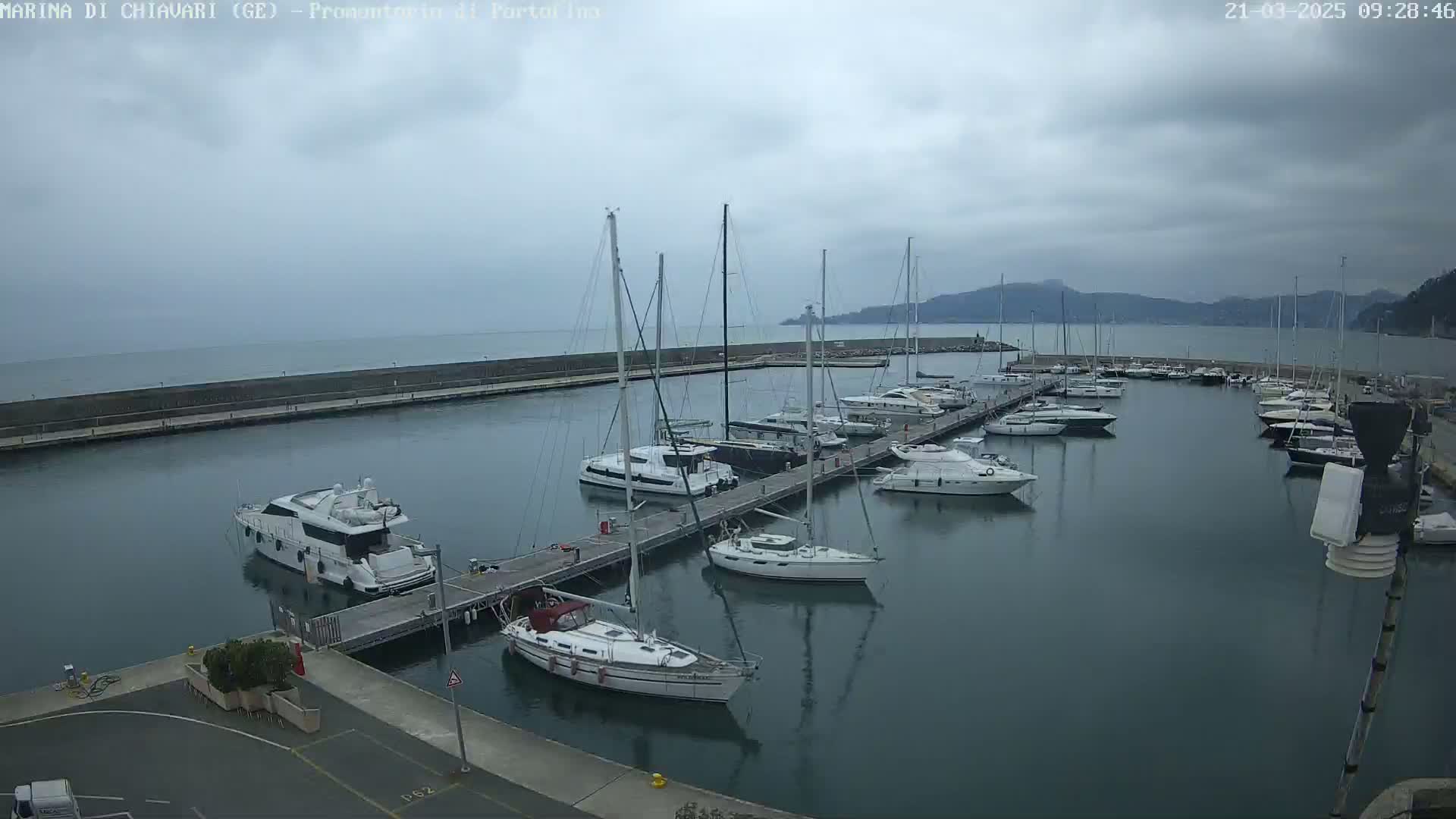 A marina filled with sailboats and motorboats on a cloudy day.