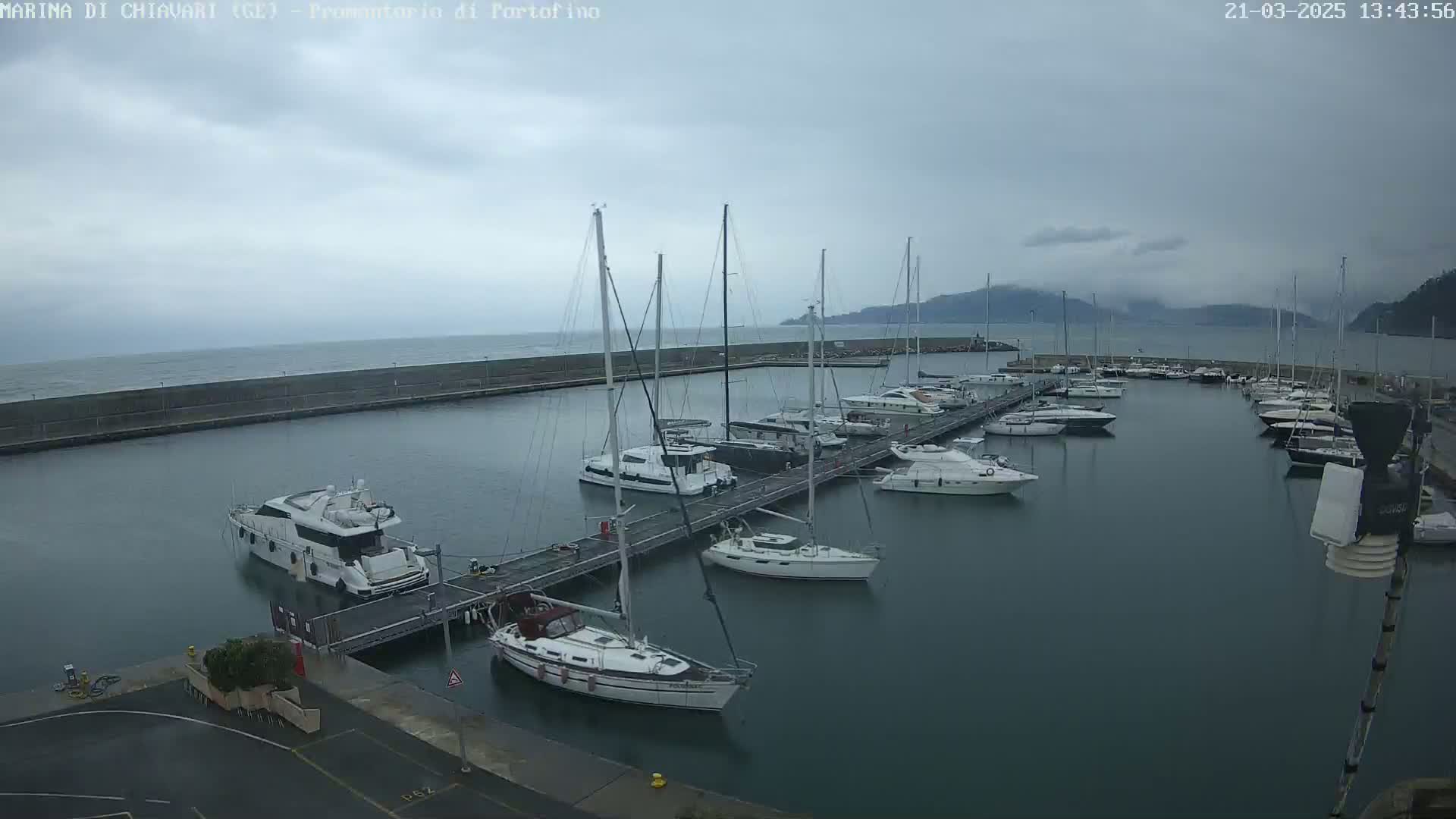 A marina filled with sailboats and motorboats is seen on an overcast day.