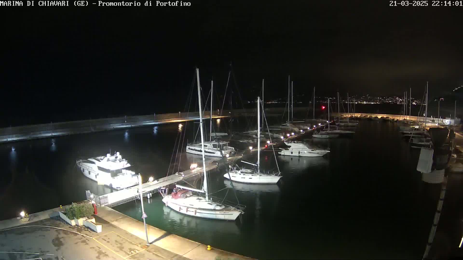 A marina at night, filled with sailboats and motorboats, is illuminated under a dark sky.