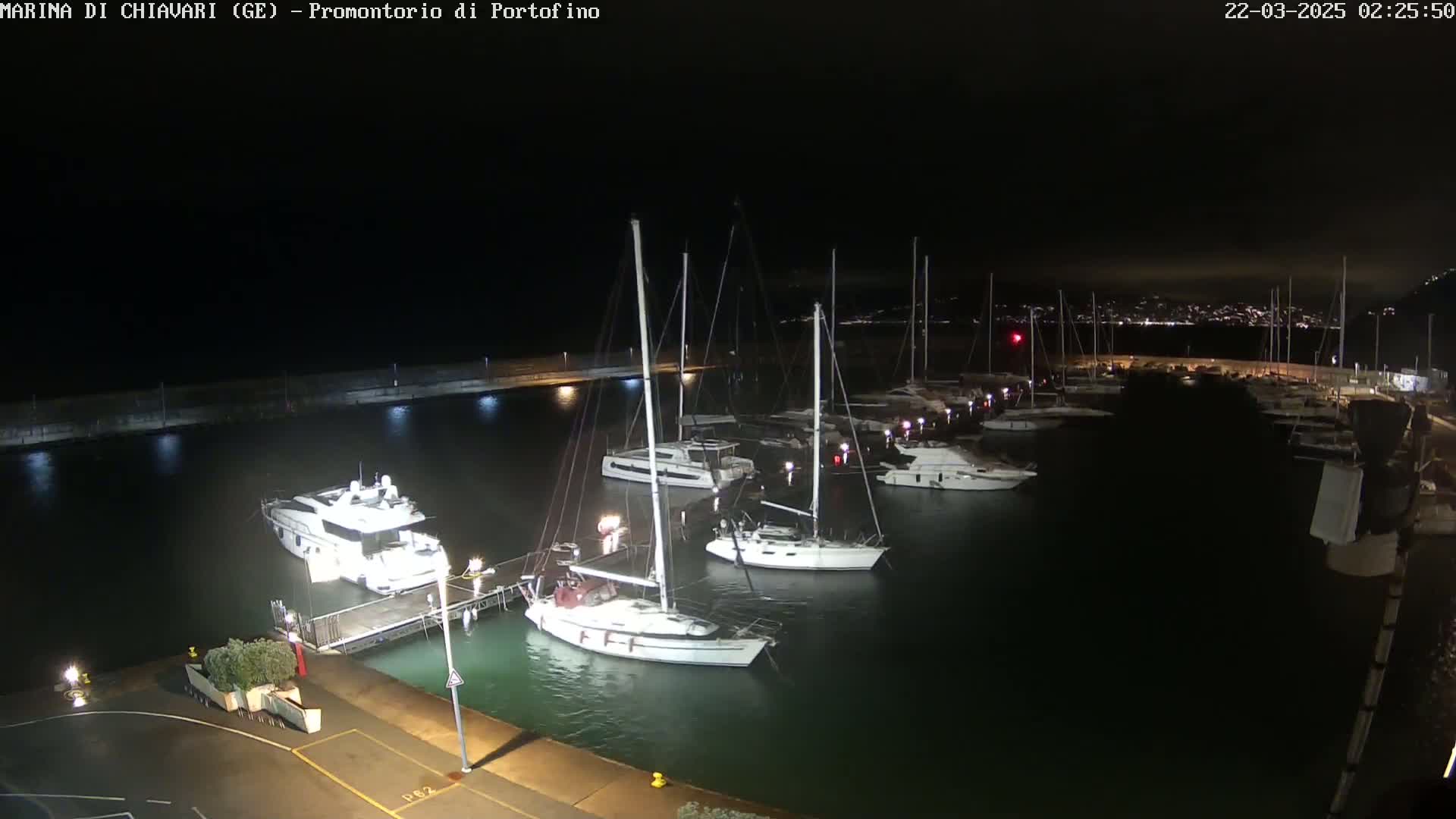 A marina at night, filled with sailboats and motorboats docked along a pier under a dark sky.