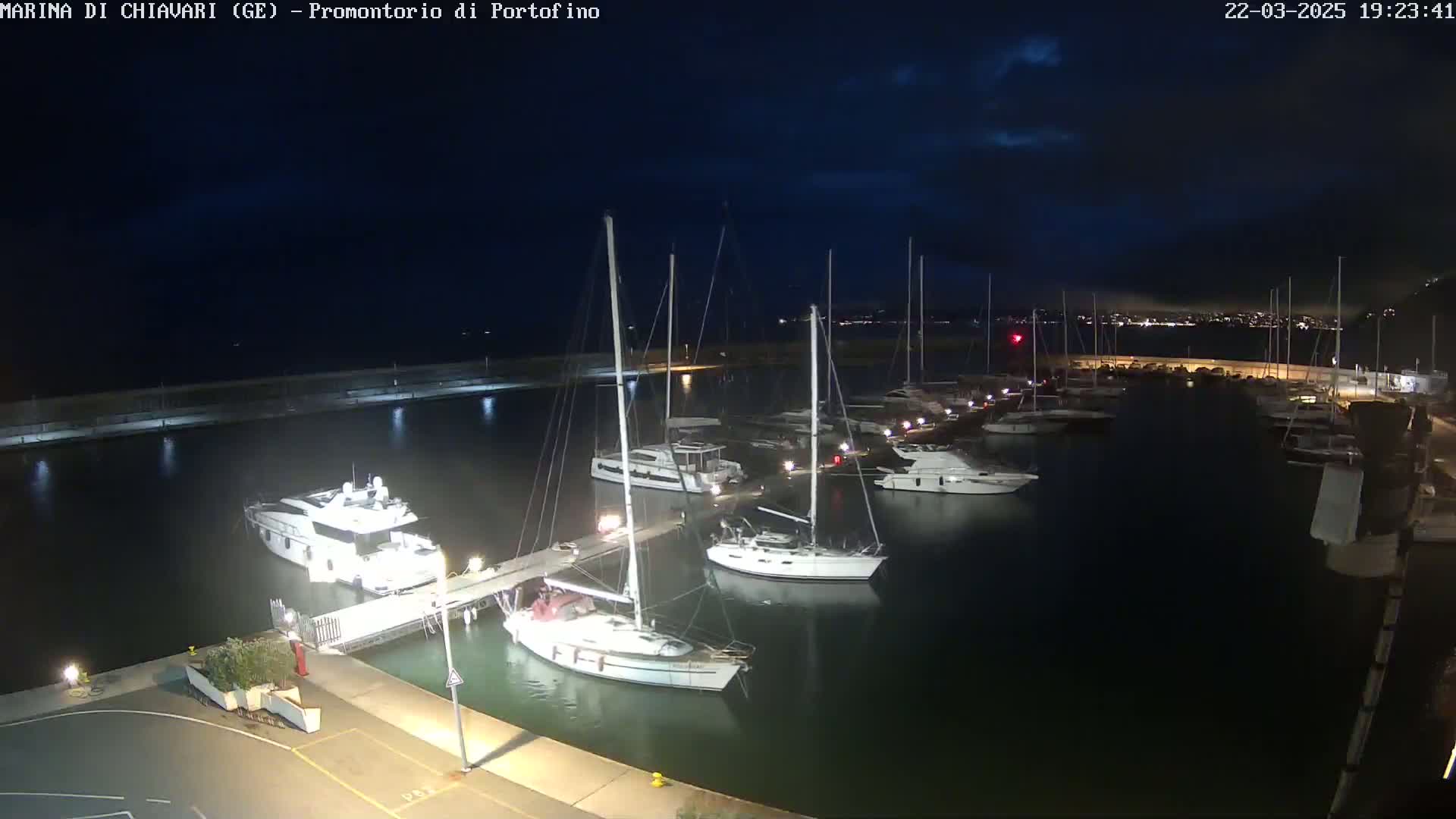Under a dark, partly cloudy night sky, numerous sailboats and yachts are moored in a calm marina.