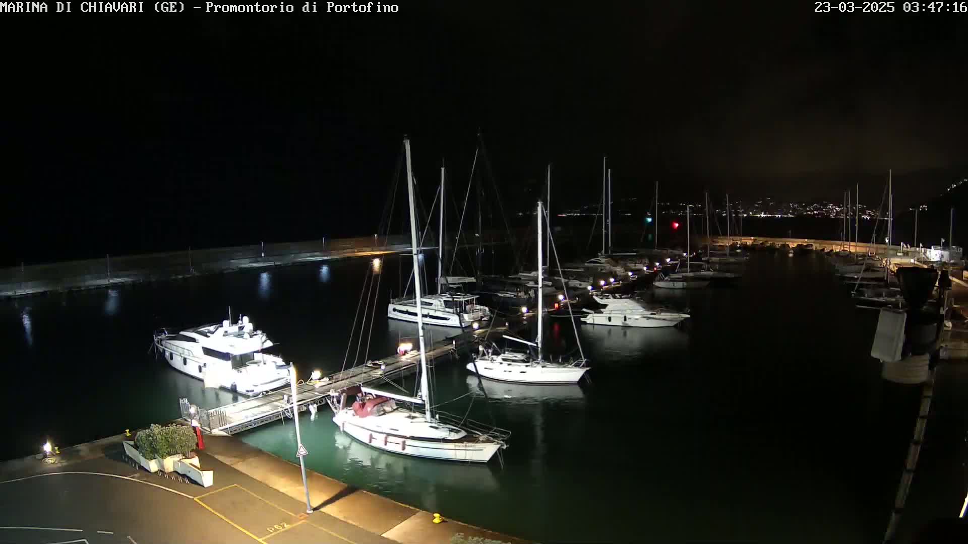 A marina at night, filled with numerous boats and yachts docked at piers, under a clear, dark sky.
