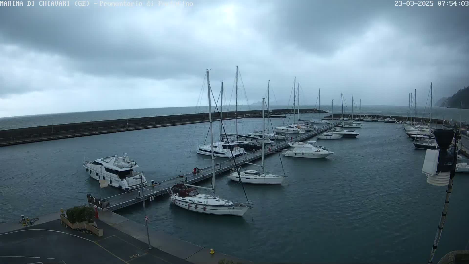 A marina filled with sailboats and motorboats is shown under an overcast sky with choppy water.