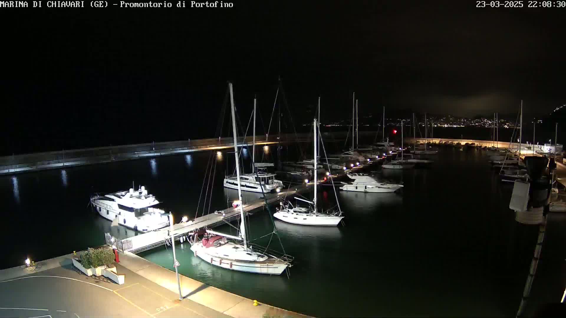 At night, a marina is illuminated, showing numerous boats docked along piers.