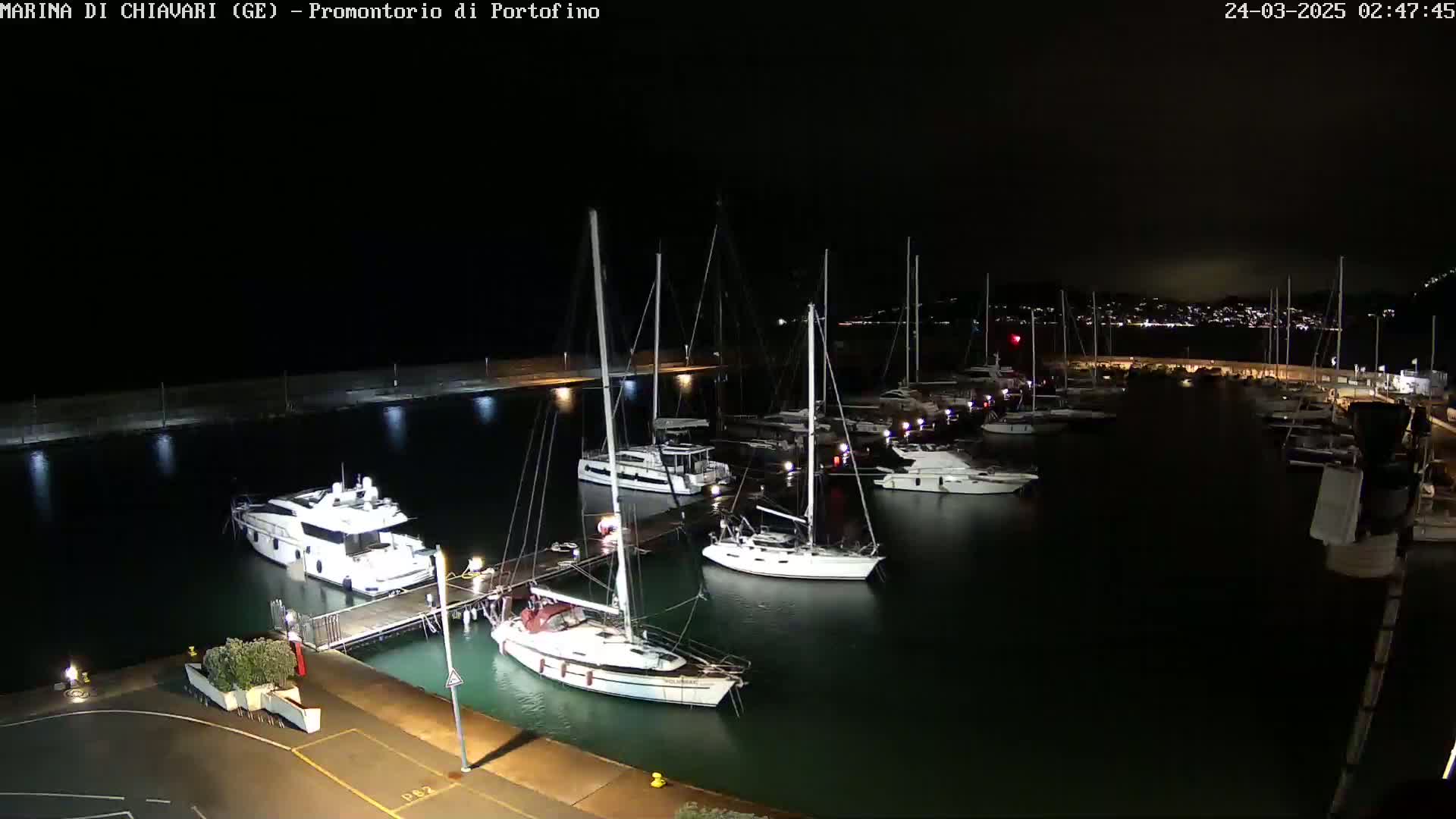 A nighttime view of a marina with numerous yachts and sailboats docked, illuminated by artificial lights.
