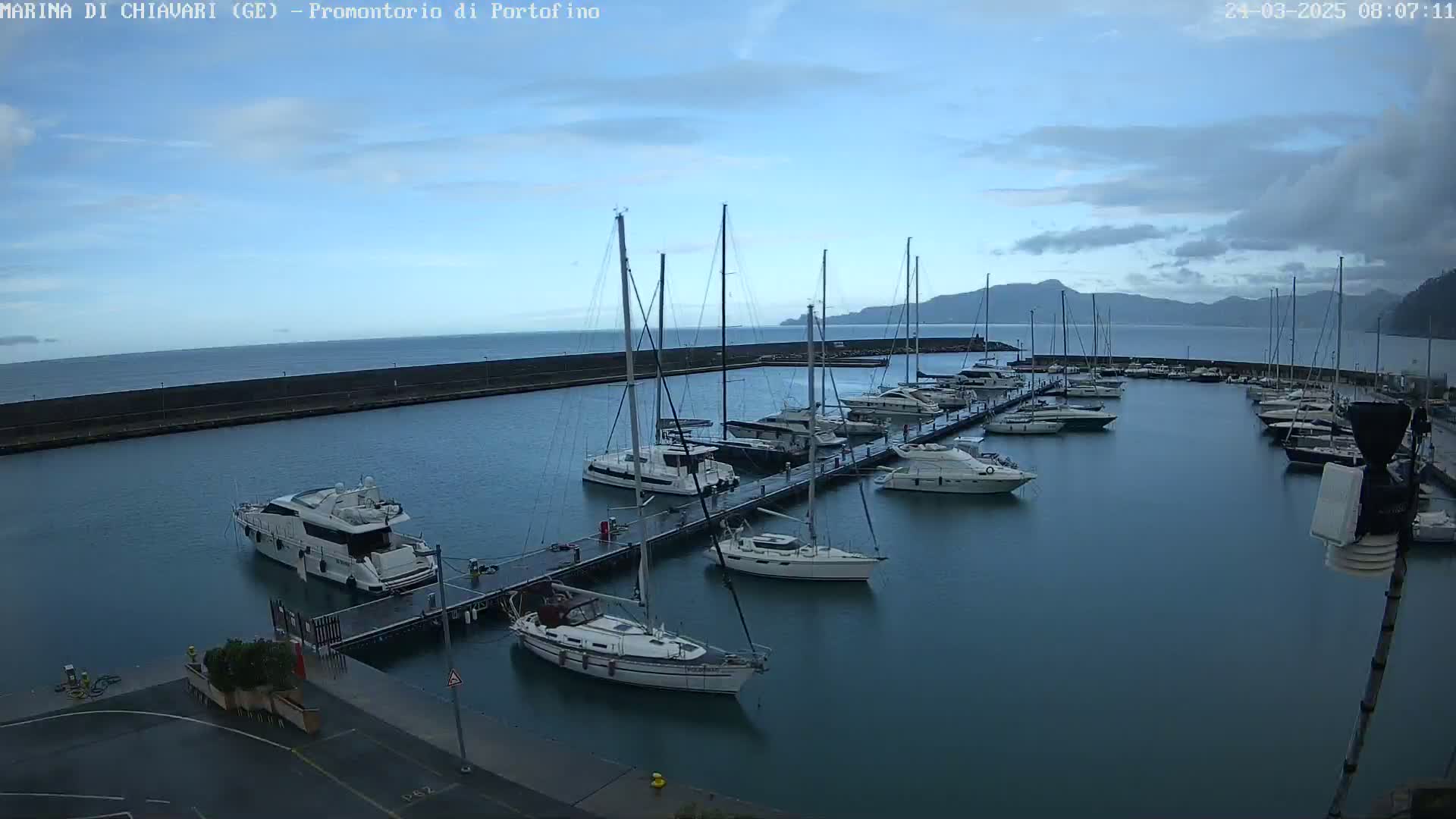 A calm marina filled with sailboats and yachts under a mostly clear, light blue sky.