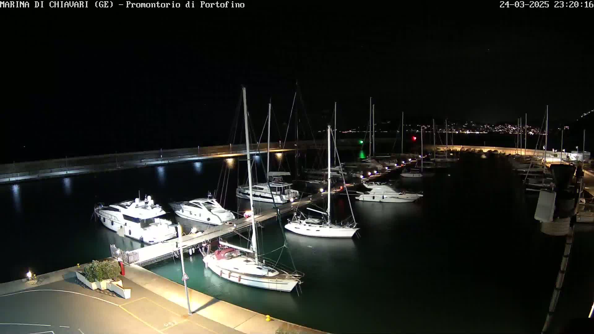 Many boats are docked at a marina at night under a clear, dark sky.
