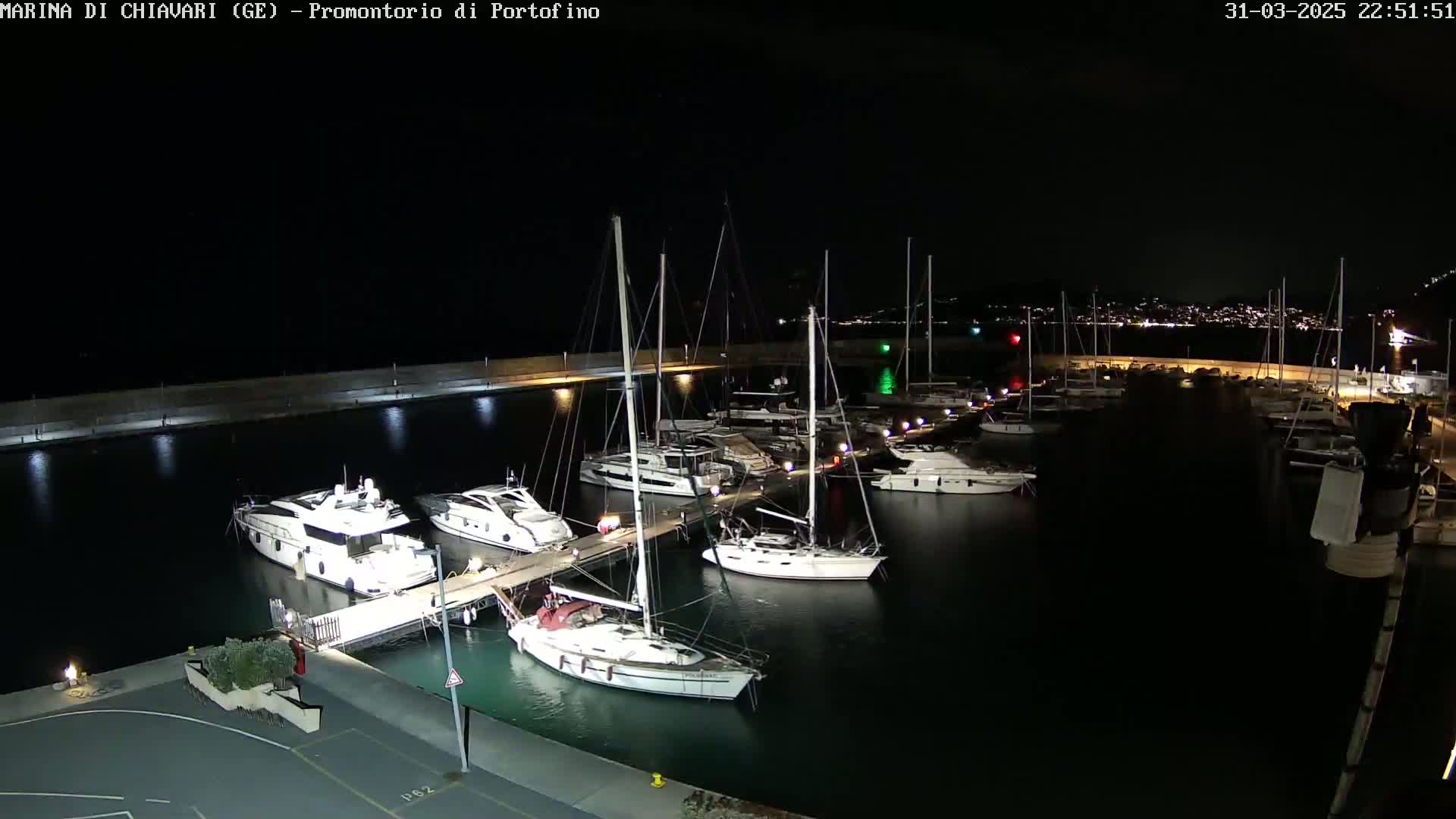 At night, numerous boats and yachts are docked at a marina, illuminated by lights along the docks.