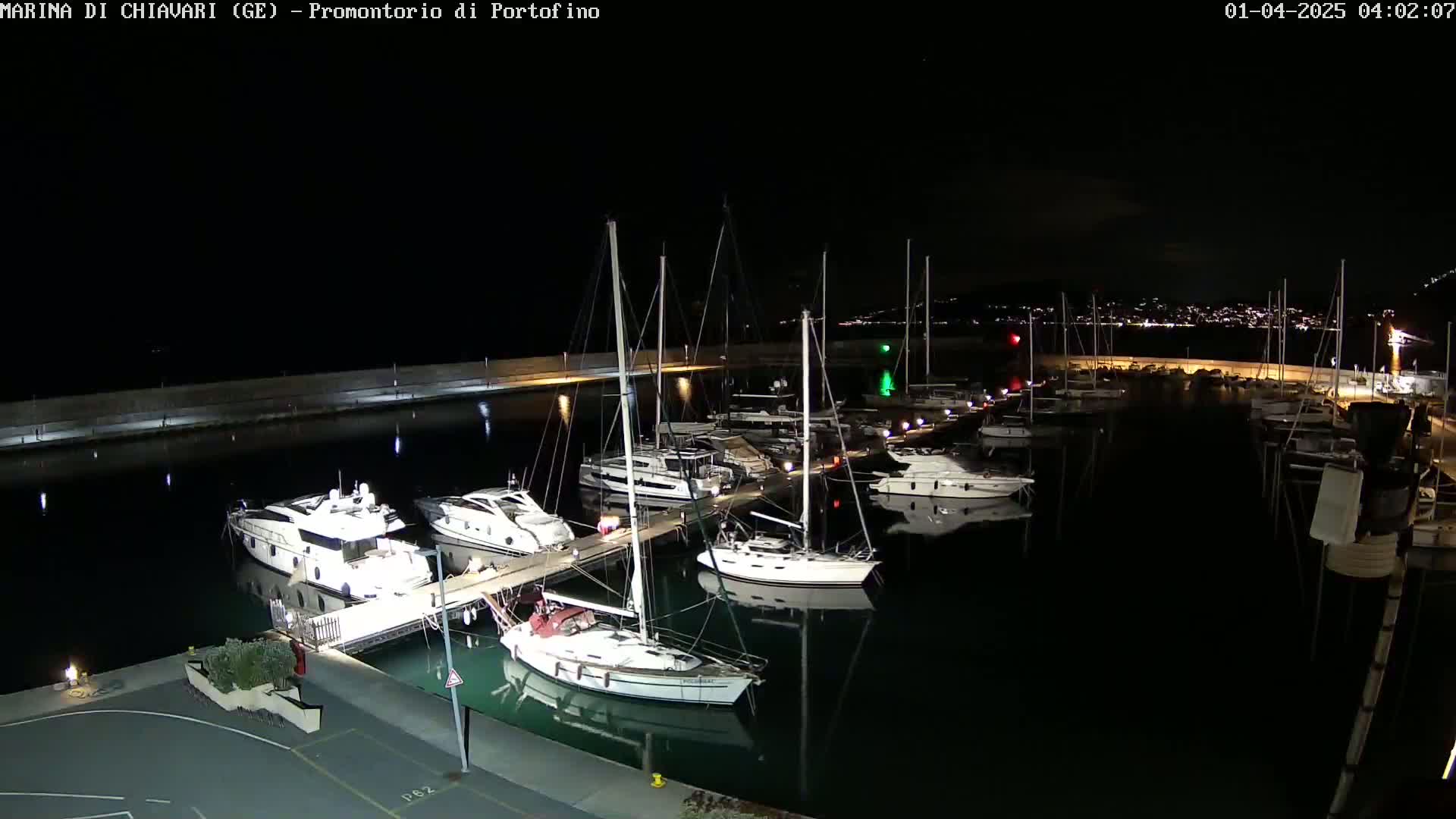 A nighttime view of a marina filled with yachts and sailboats, docked along a pier under a clear, dark sky.