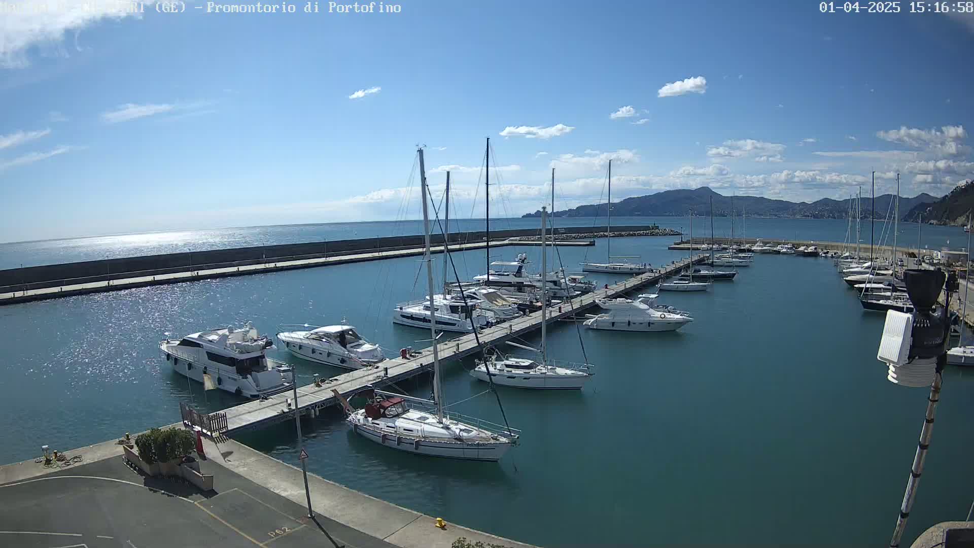 A marina filled with sailboats and motorboats is nestled in a calm harbor under a mostly sunny sky.