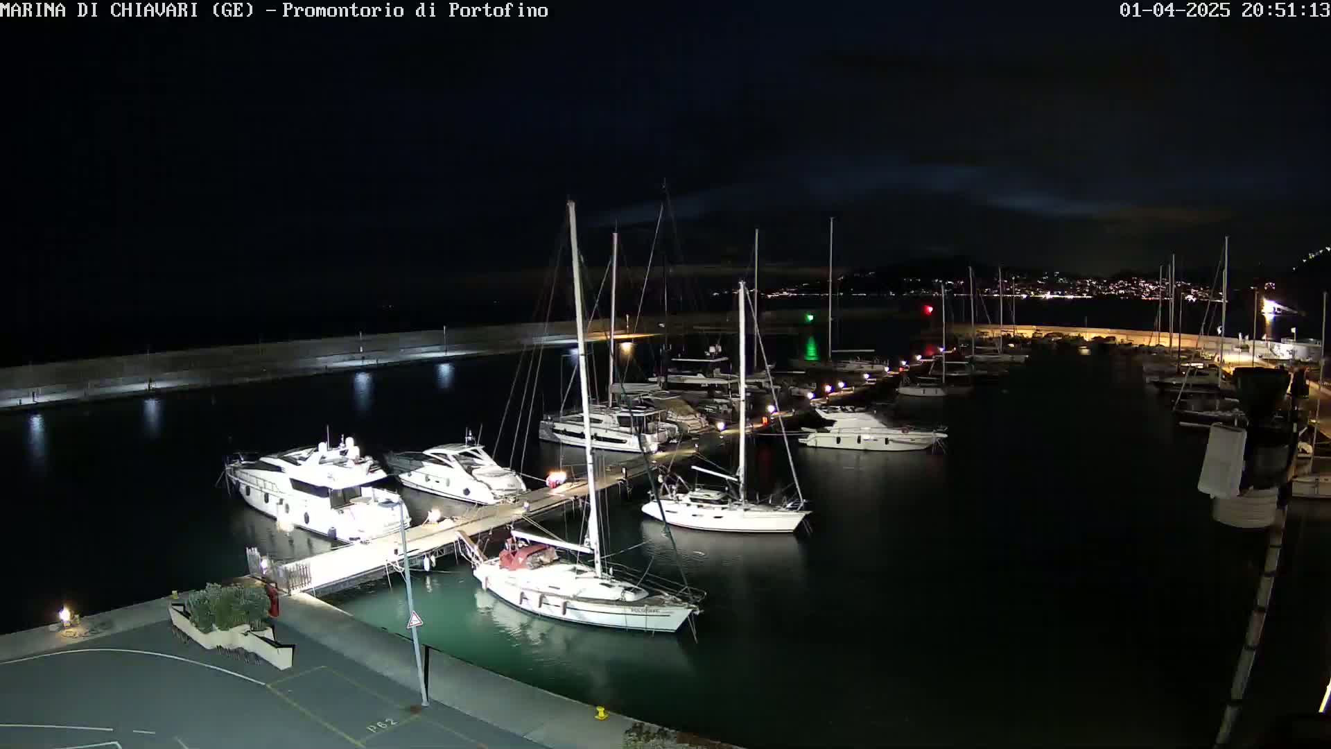 A marina at night, filled with docked sailboats and yachts under a dark, clear sky.