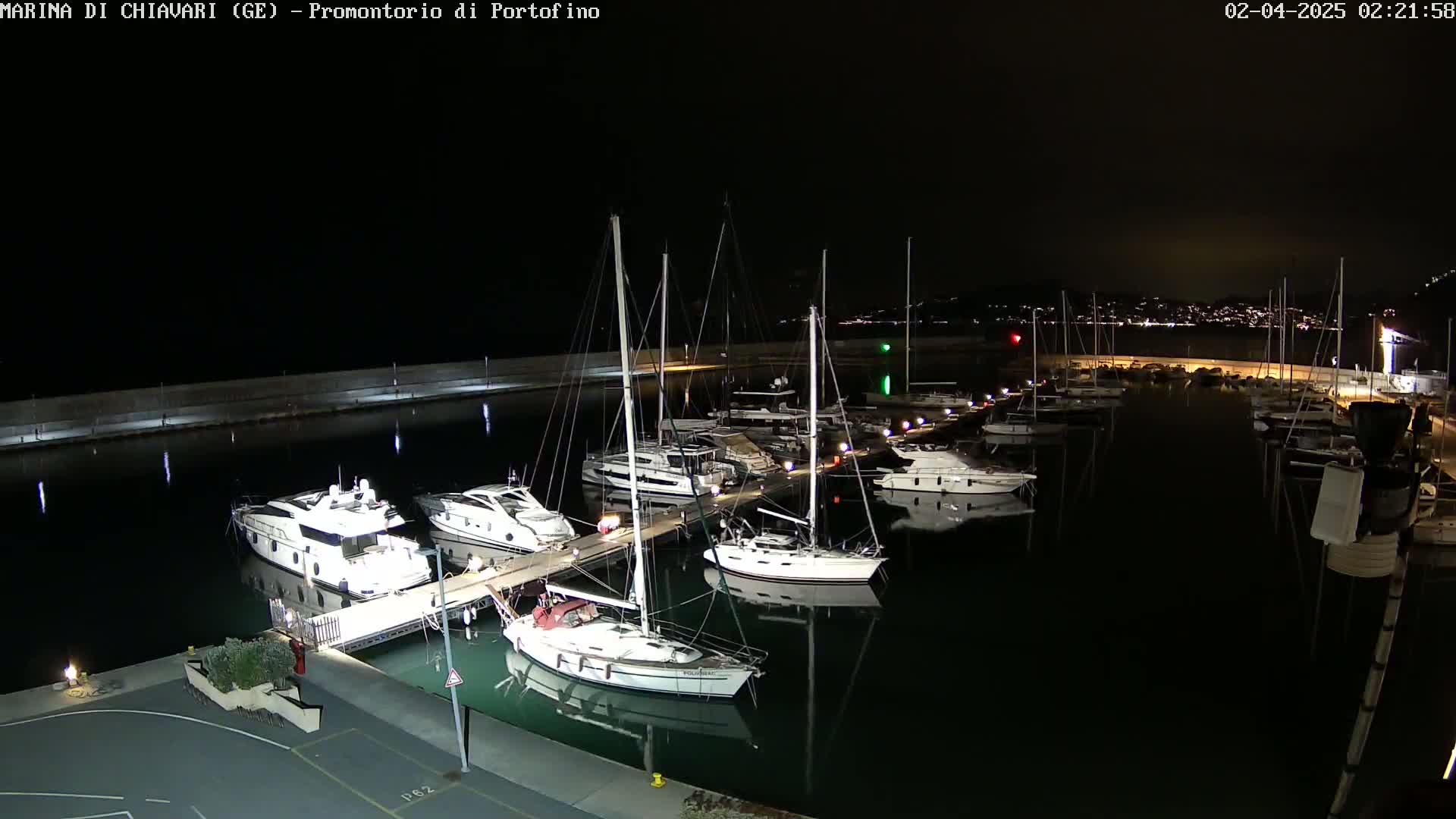 A marina at night, filled with yachts and sailboats docked along a pier, under a clear, dark sky.