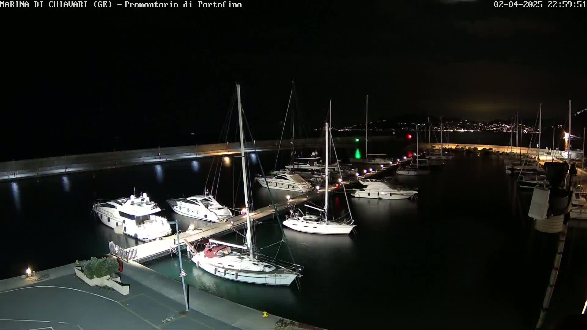 A marina at night, illuminated by lights, with numerous yachts and sailboats docked along a pier, under a clear, dark sky.