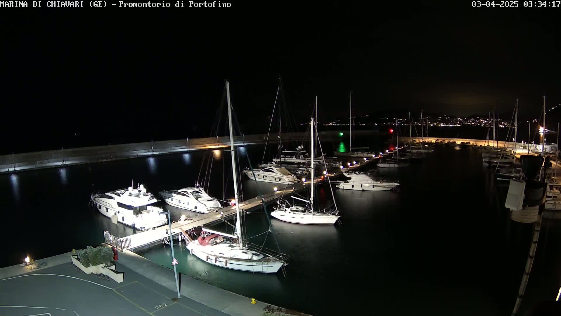 A marina at night is filled with numerous yachts and sailboats docked at piers, under a clear, dark sky.