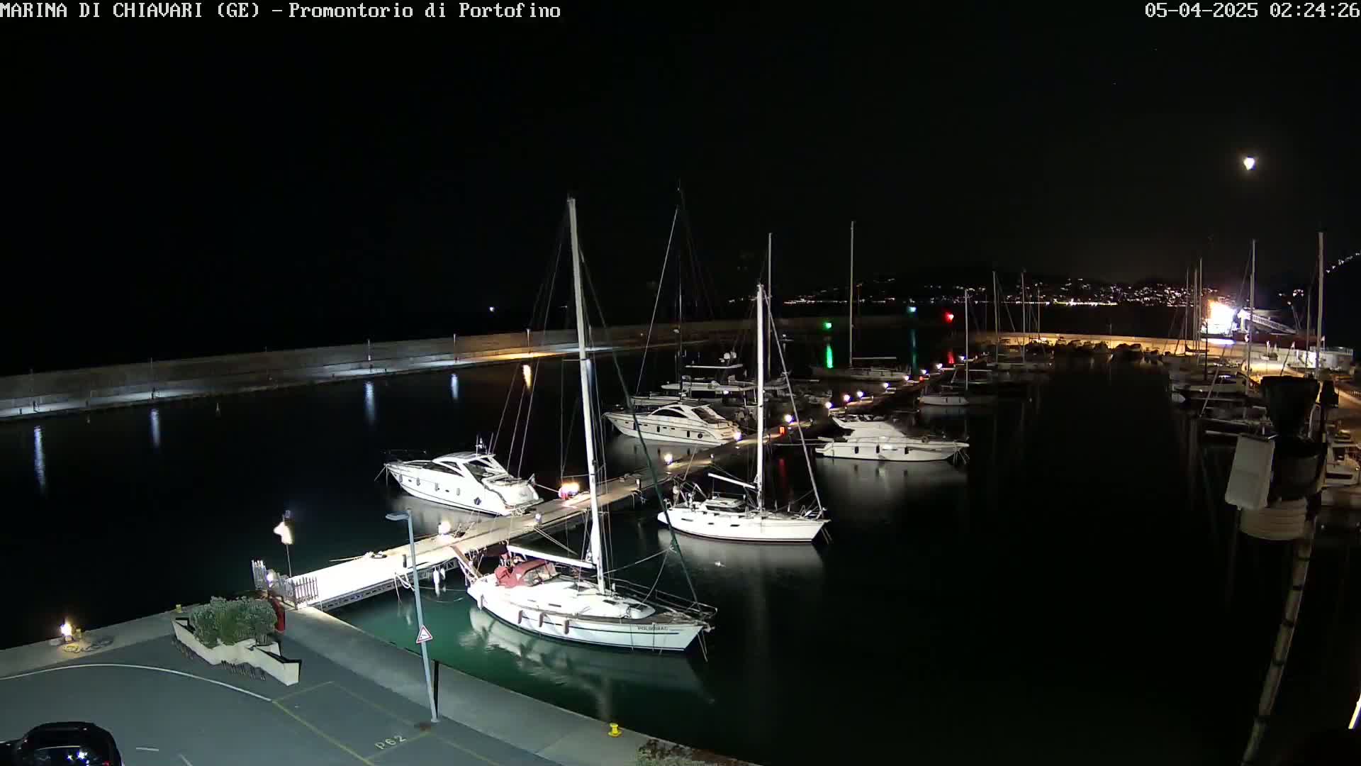 A nighttime view of a marina filled with sailboats and motorboats docked along a pier, under a clear, dark sky.
