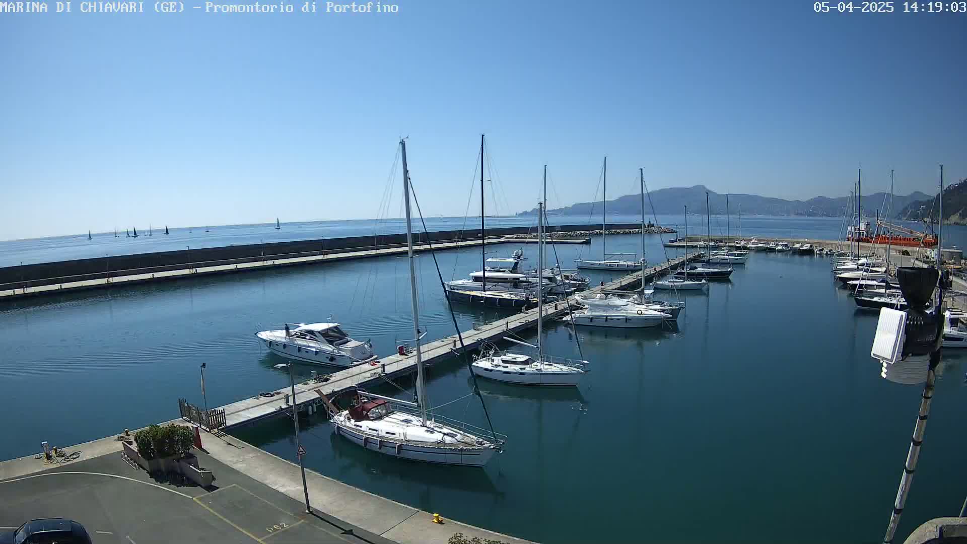 A marina filled with sailboats and motorboats on a sunny day, with mountains visible in the distance.