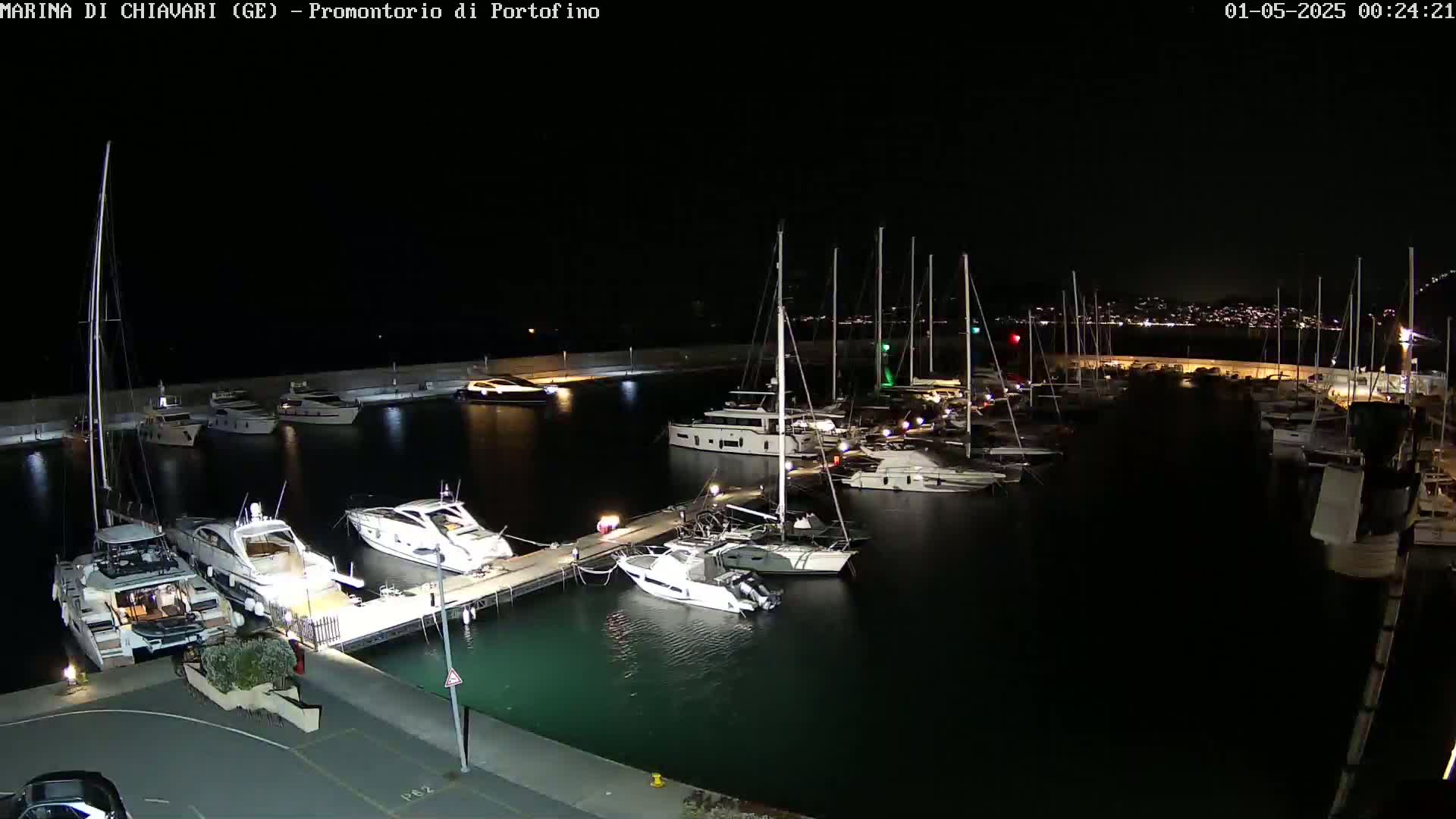 A marina filled with numerous yachts and sailboats is shown at night under a clear, dark sky.