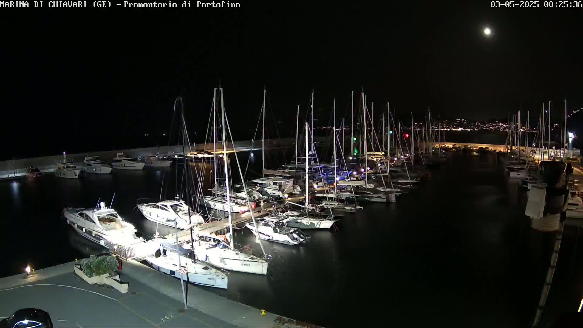 A marina filled with numerous boats and yachts is seen at night under a clear sky with a visible moon.