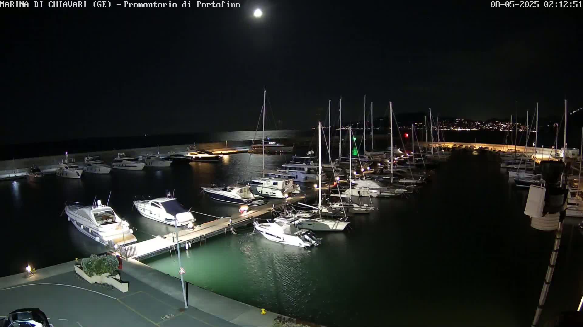 A marina at night, under a clear moonlit sky, is filled with numerous boats and yachts docked along piers.