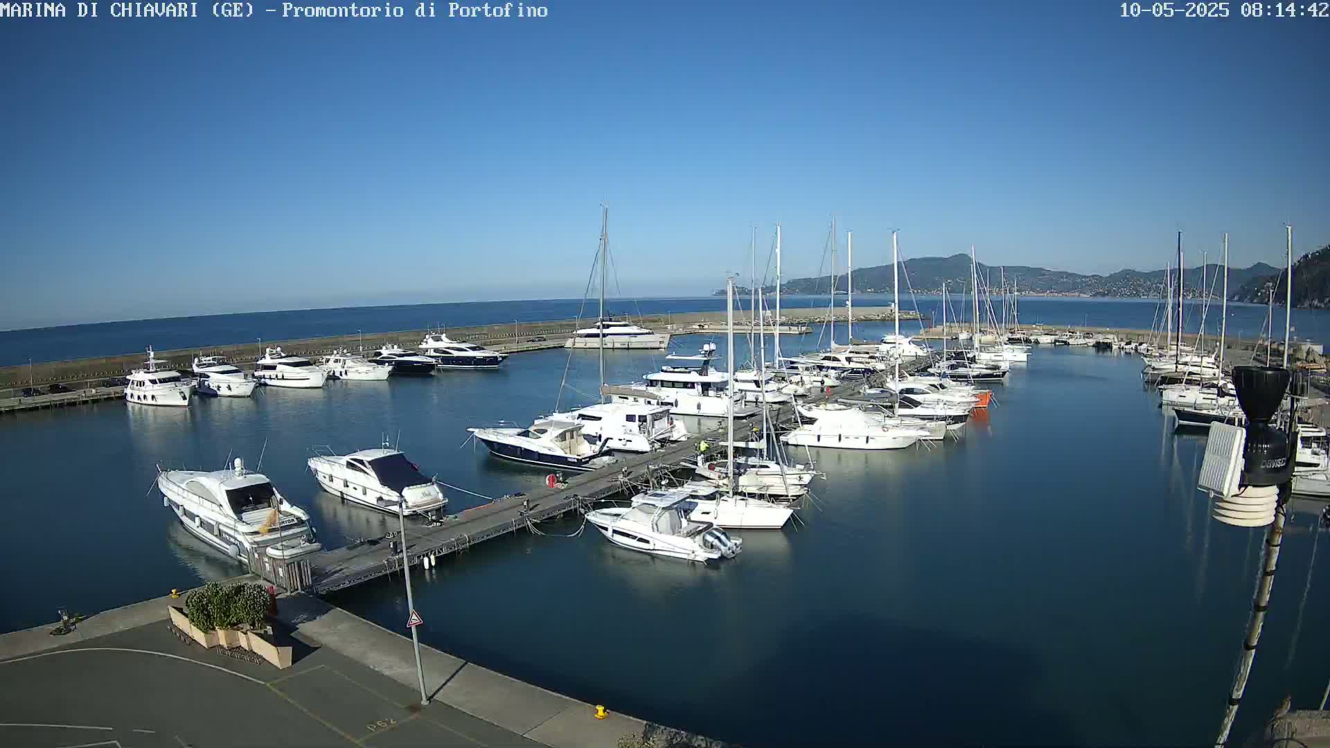 Under a clear blue sky, a marina filled with numerous yachts and sailboats is docked along a pier.