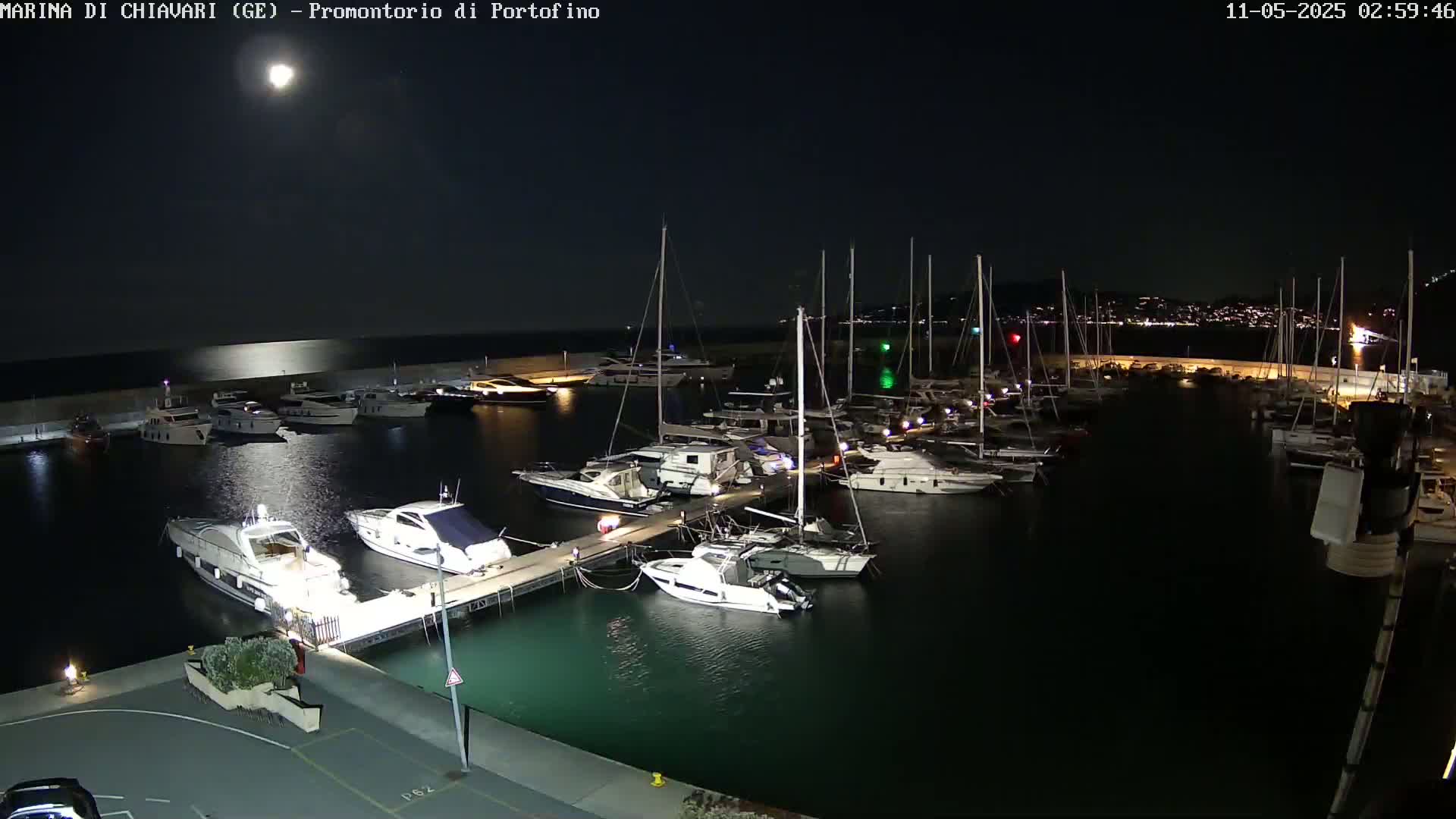 A marina filled with numerous boats is illuminated under a bright moon at night.