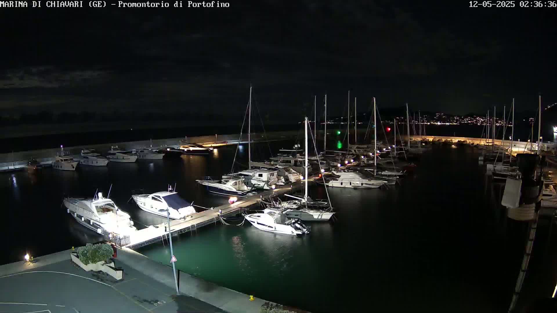 Numerous yachts and sailboats are docked at a marina at night under a clear, dark sky.