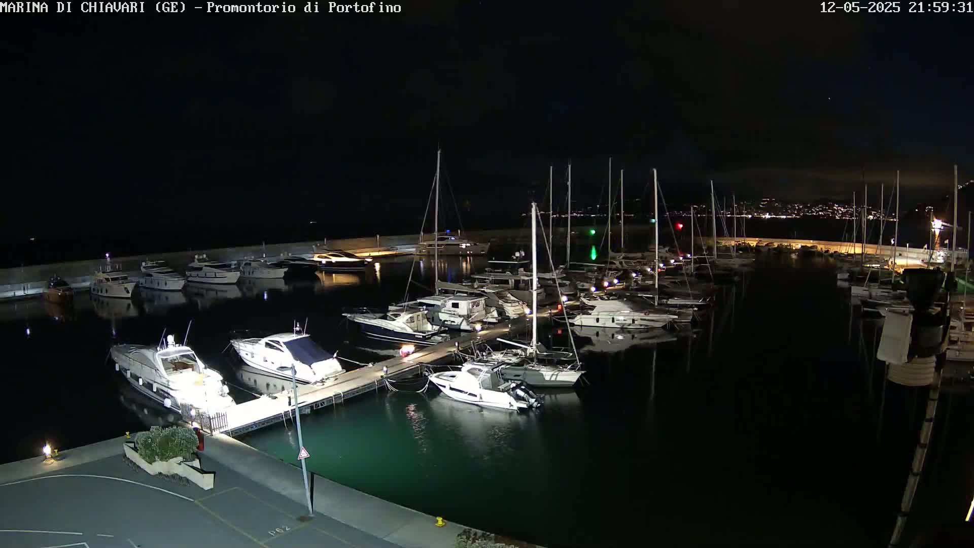 A marina filled with numerous boats and yachts at night under a clear, dark sky.