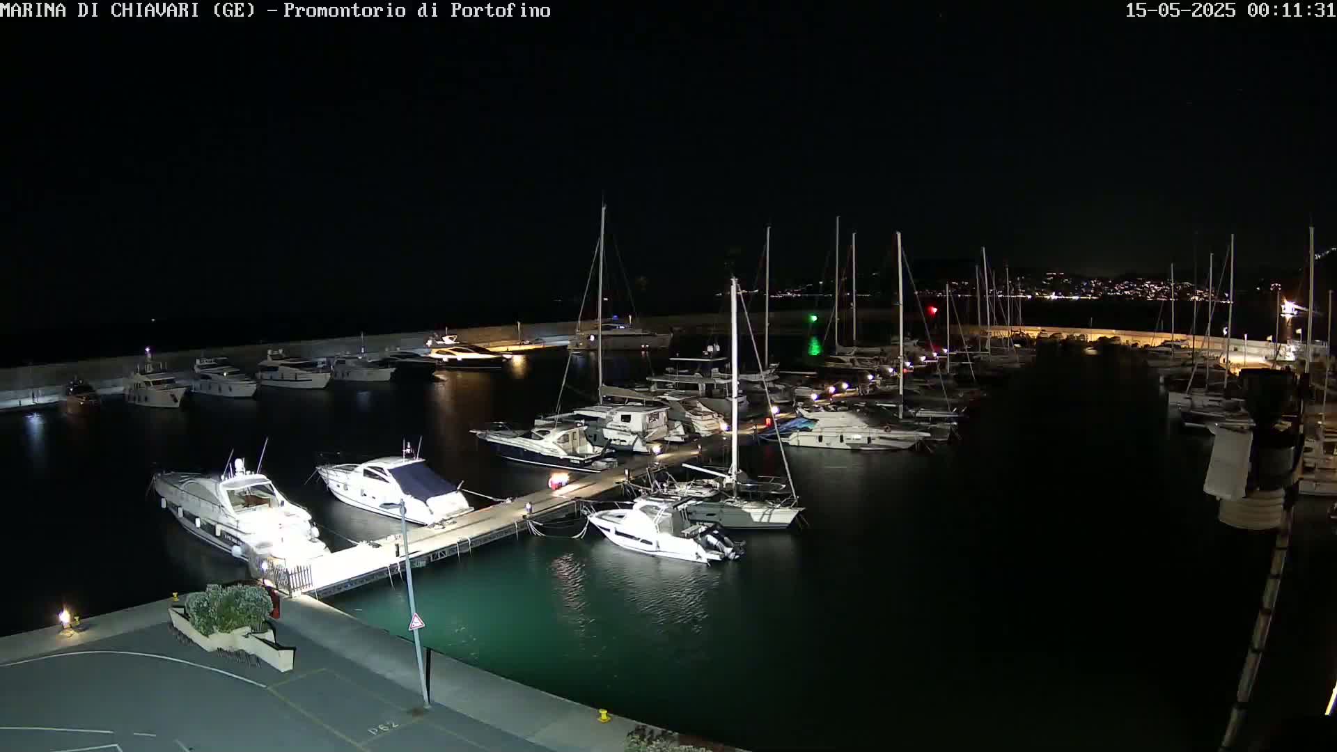 A marina filled with numerous yachts and boats is illuminated at night under a clear, dark sky.
