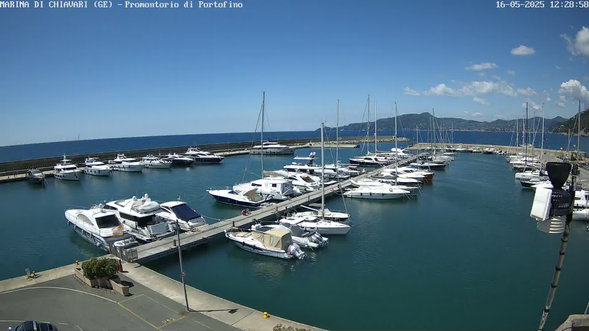 A marina filled with numerous yachts and sailboats is shown on a sunny day with a clear blue sky and calm water.