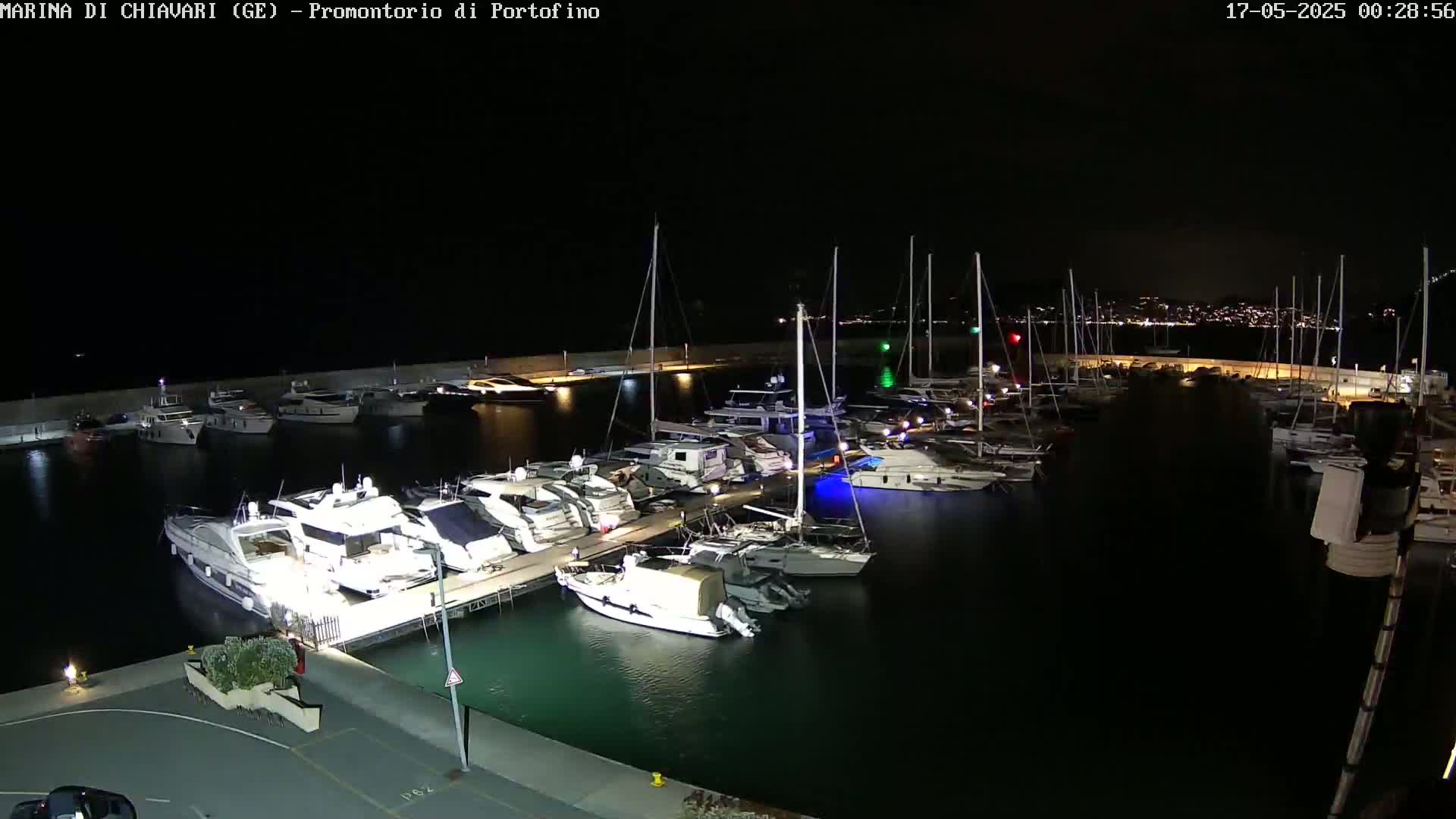 A marina filled with yachts and sailboats is illuminated at night under a clear, dark sky.