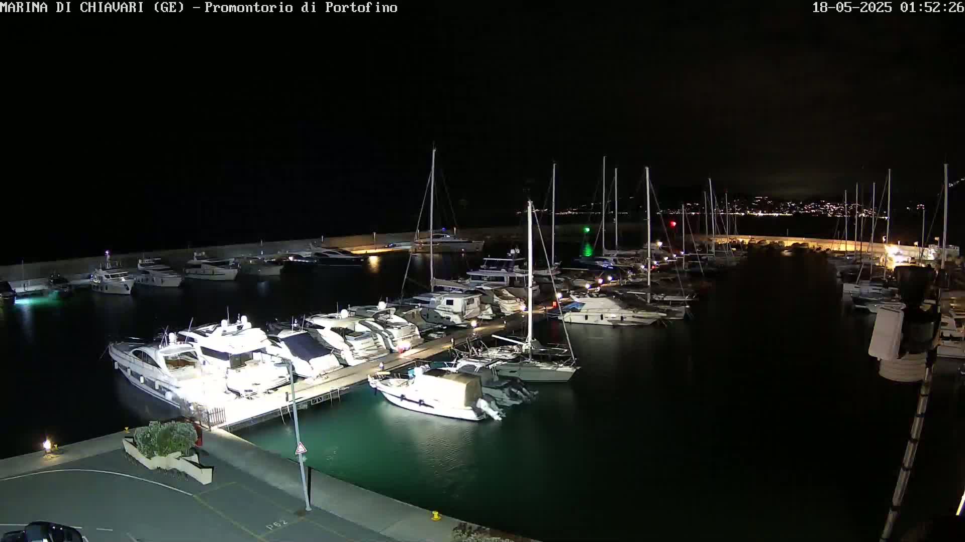 A marina at night, filled with many boats docked along a pier, under a clear, dark sky.