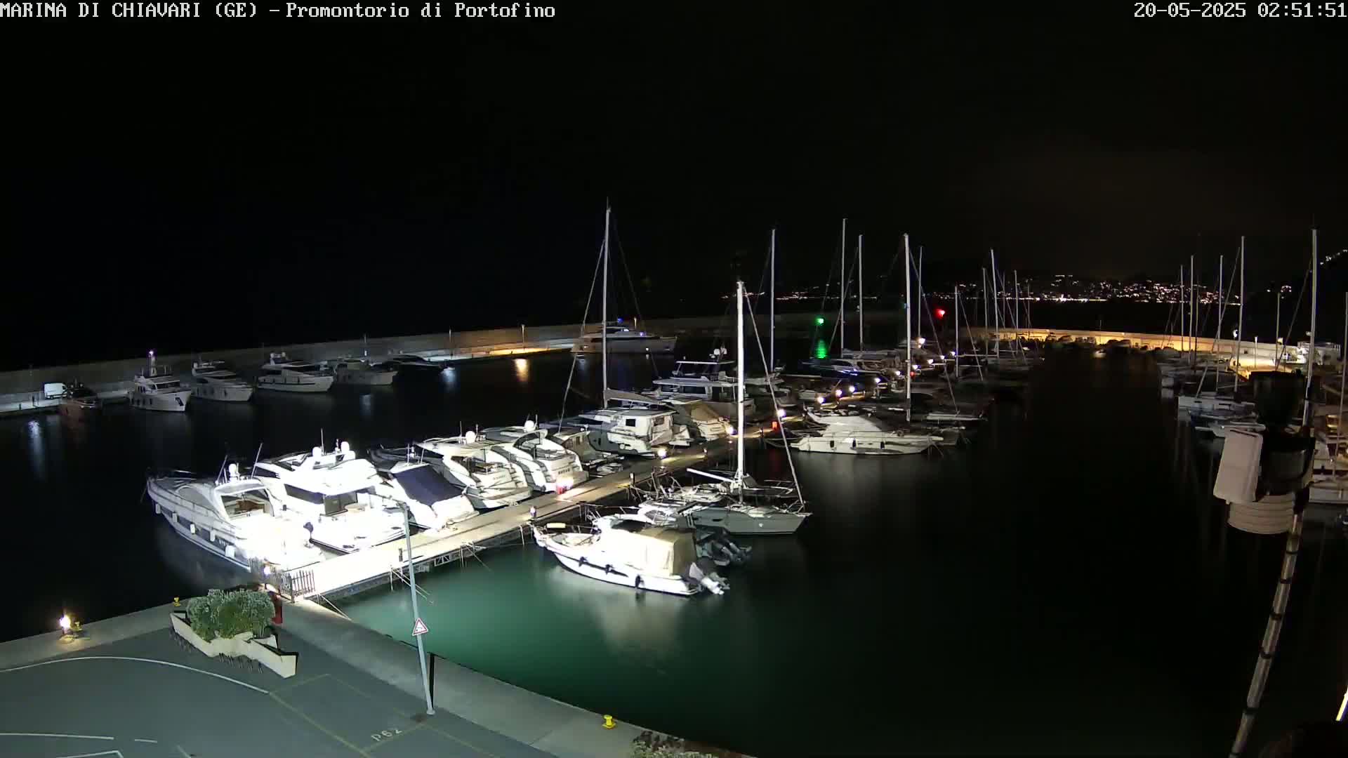 A marina at night, filled with numerous yachts and sailboats, is illuminated under a dark sky.