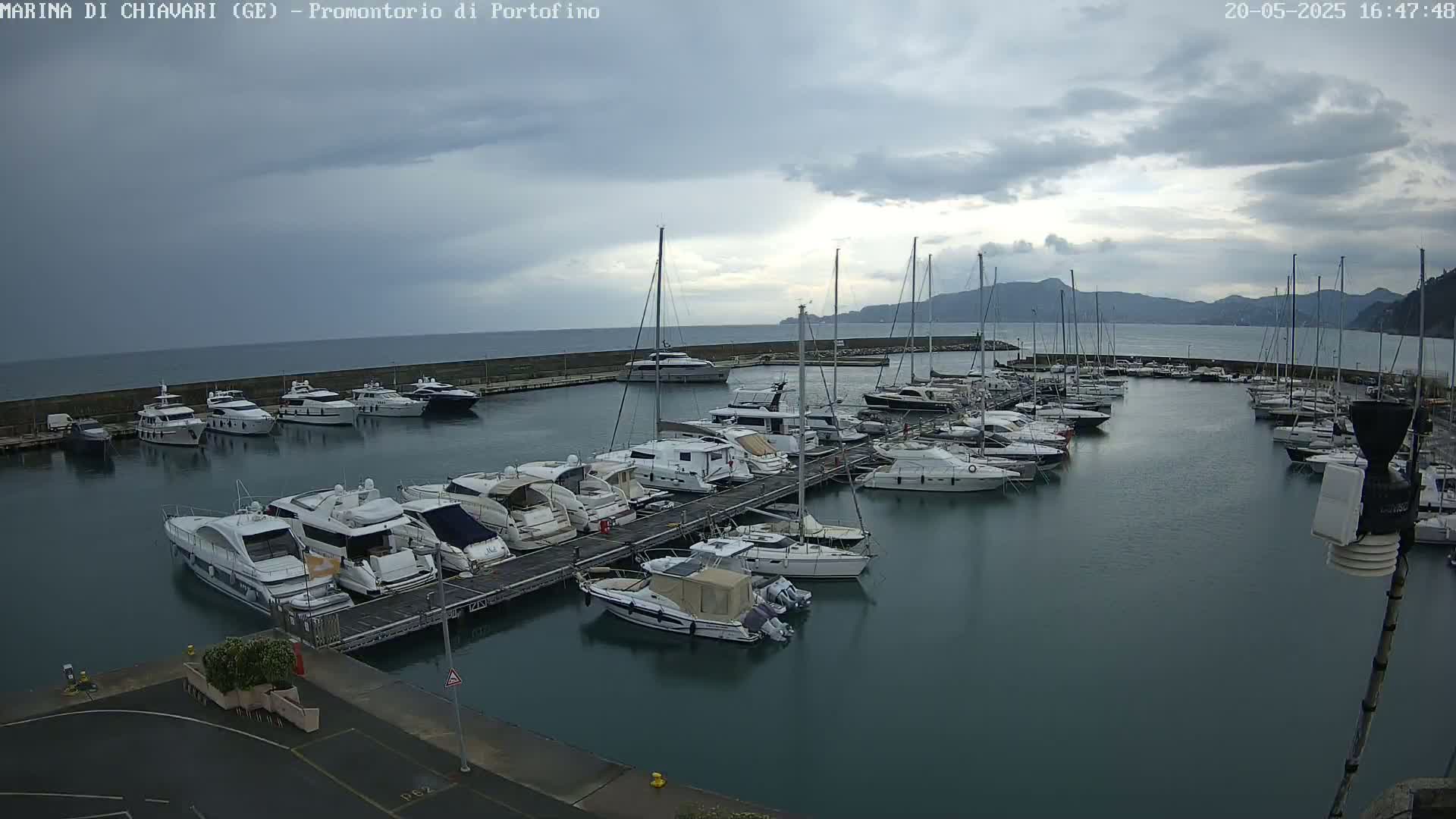 A marina filled with numerous yachts and sailboats is seen under an overcast sky.