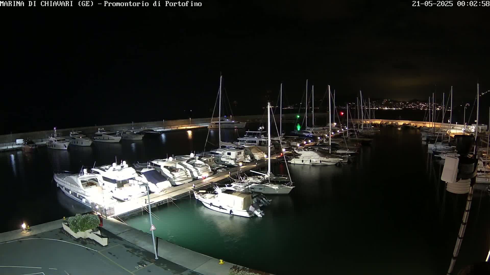 A marina filled with yachts and sailboats is shown at night under a clear, dark sky.