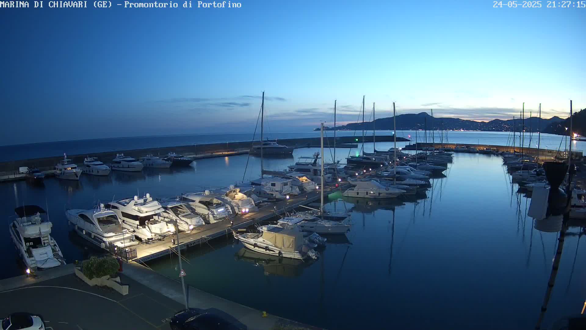 Many yachts and sailboats are docked in a marina at twilight, under a clear sky.