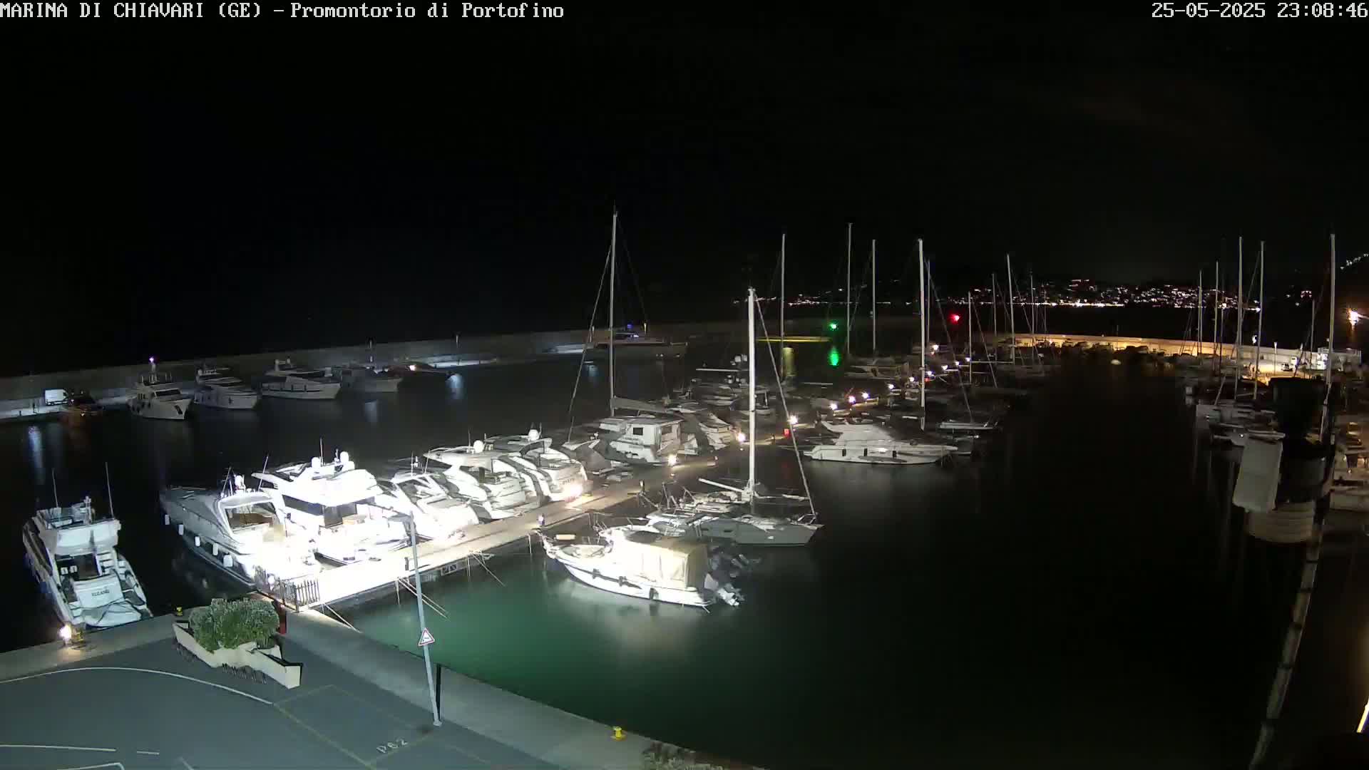 A marina filled with yachts and sailboats is illuminated at night under a clear, dark sky.