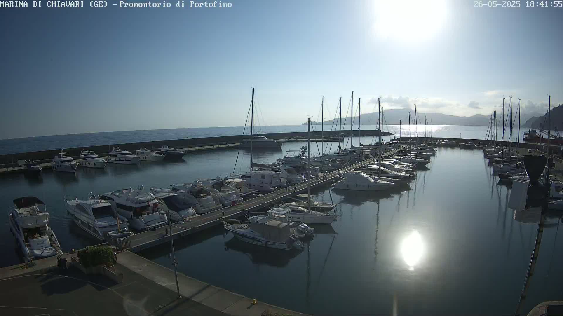 A marina filled with numerous yachts and sailboats on a sunny day with calm water reflecting the sunlight.