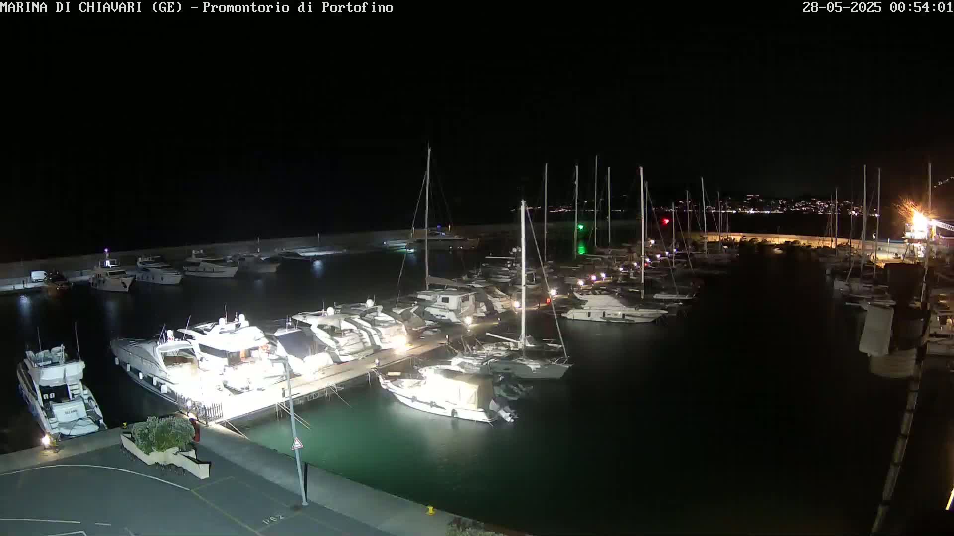 A nighttime view of a marina filled with numerous yachts and sailboats docked along a pier under a clear, dark sky.